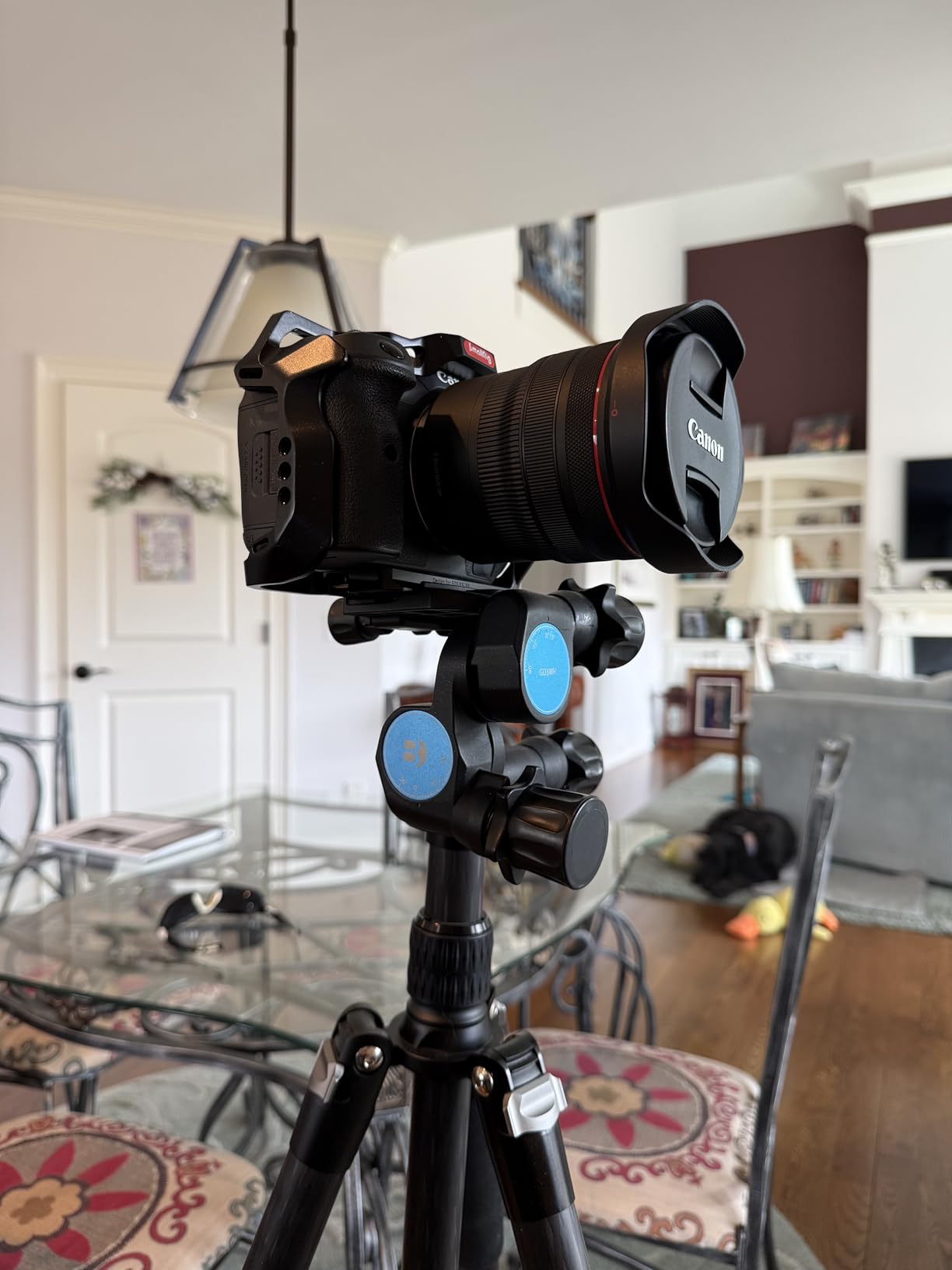 Benro Precision Geared Tripod Head, Ideal for Studio and Still Life, Arca-Swiss Compatible Quick Release Plate, 13.2 lb. Capacity- Black (GD3WH) customer photo 1
