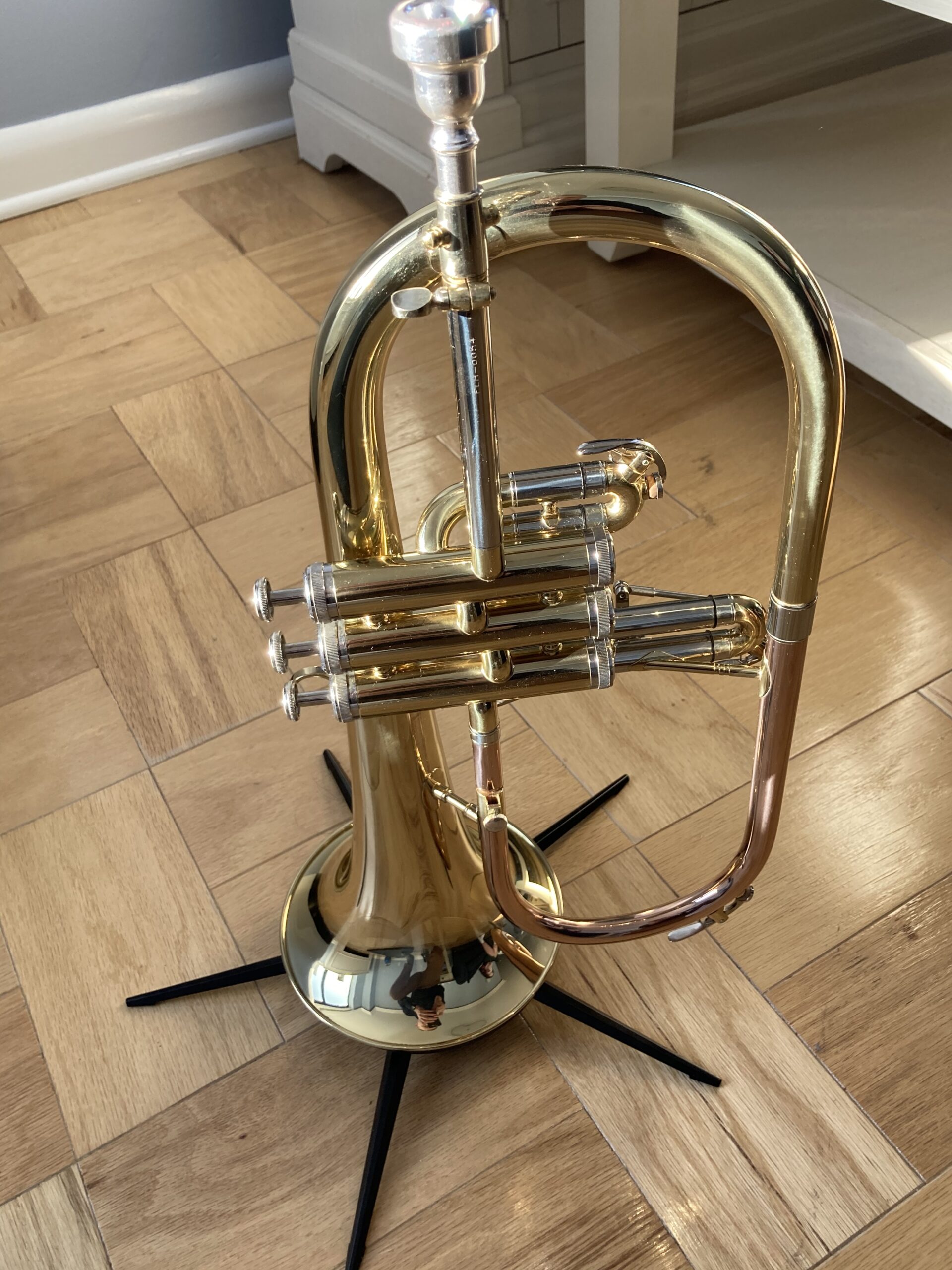 Jean Paul USA Flugelhorn (FH-430), Yellow customer photo 2