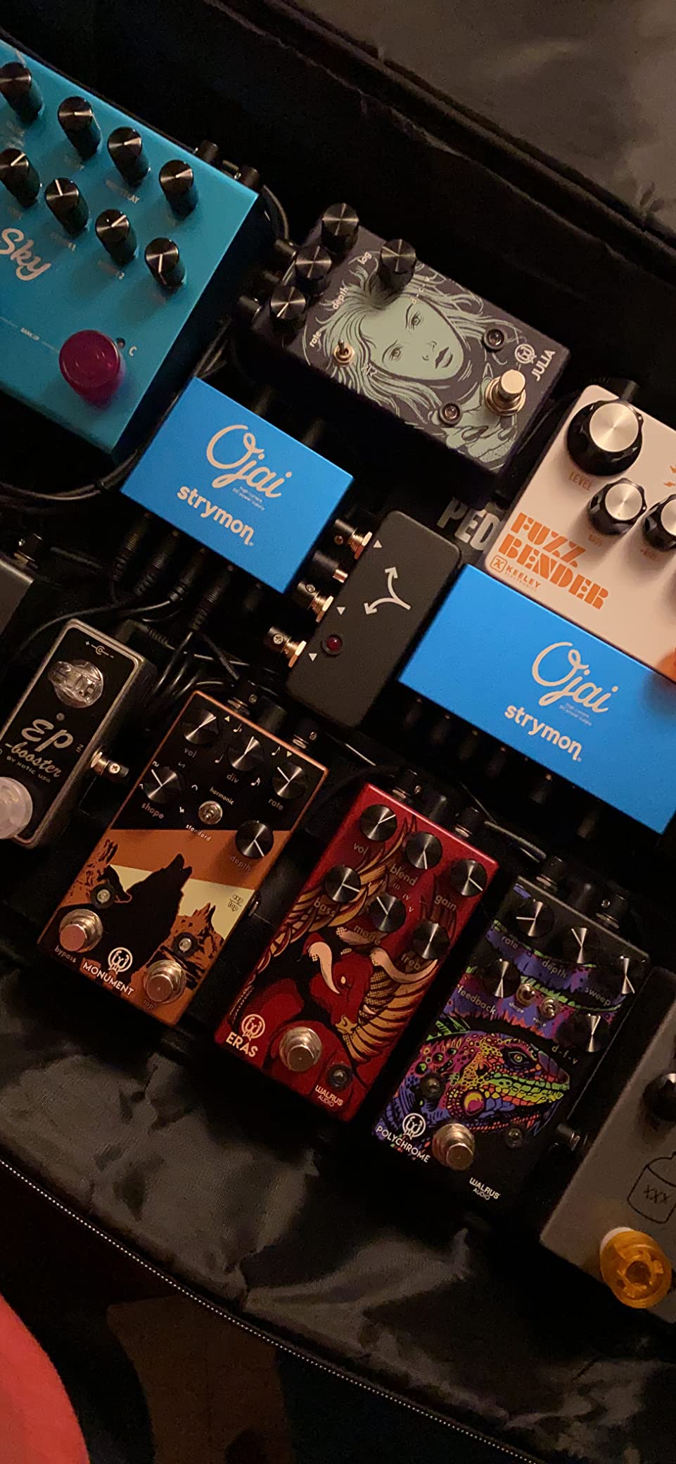 Walrus Audio Monument Harmonic Tap Tremolo V2 customer photo 1
