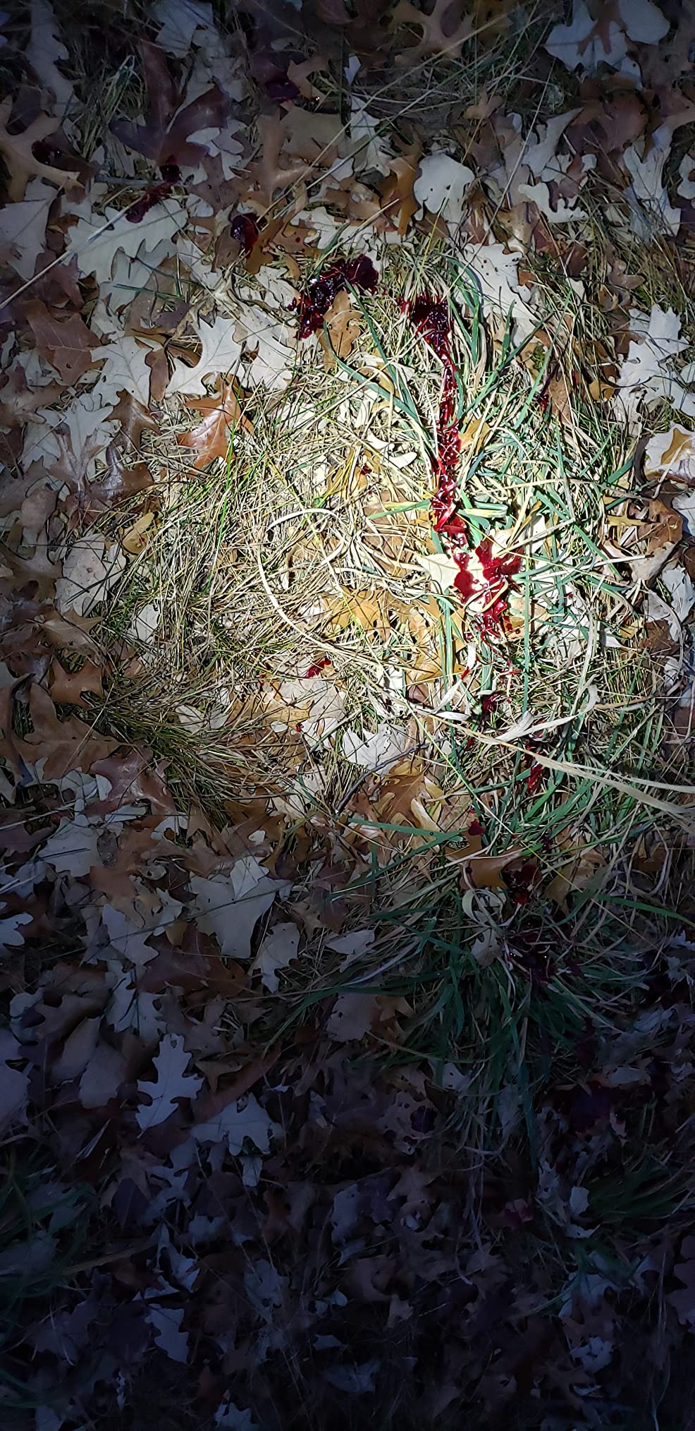 Woodhaven The Intimidator Deer Call customer photo 2