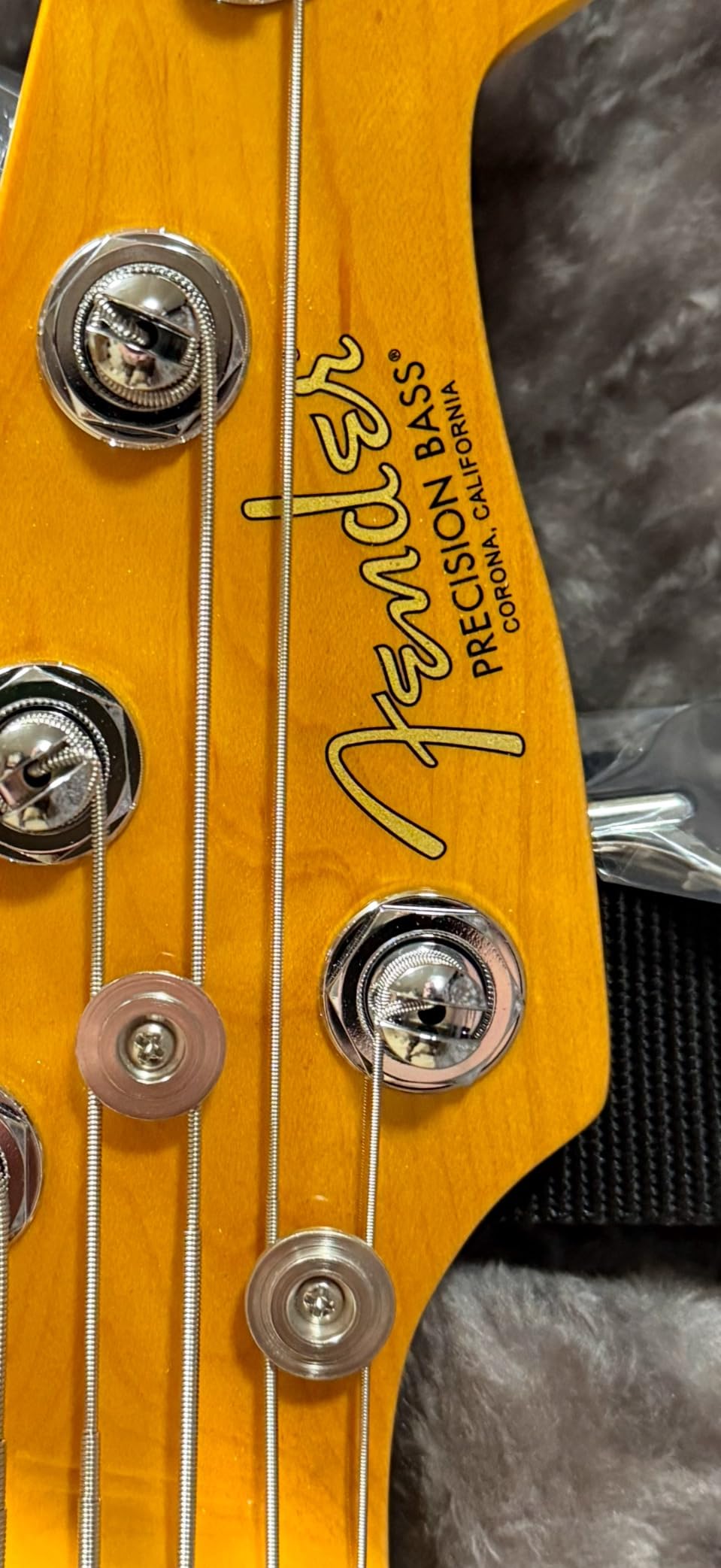 American Professional II 5-String Precision Bass, Dark Night, Maple Fingerboard customer photo 2