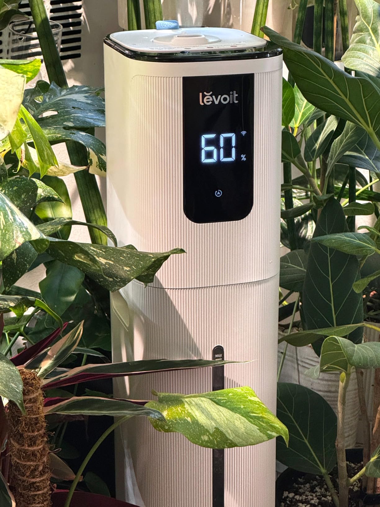 Levoit LV600S Smart Warm and Cool Mist Humidifiers for Home Bedroom Large Room, 6L 753ft Coverage, Easy Top Fill, Smart Sensor, App and Voice Control customer photo 1