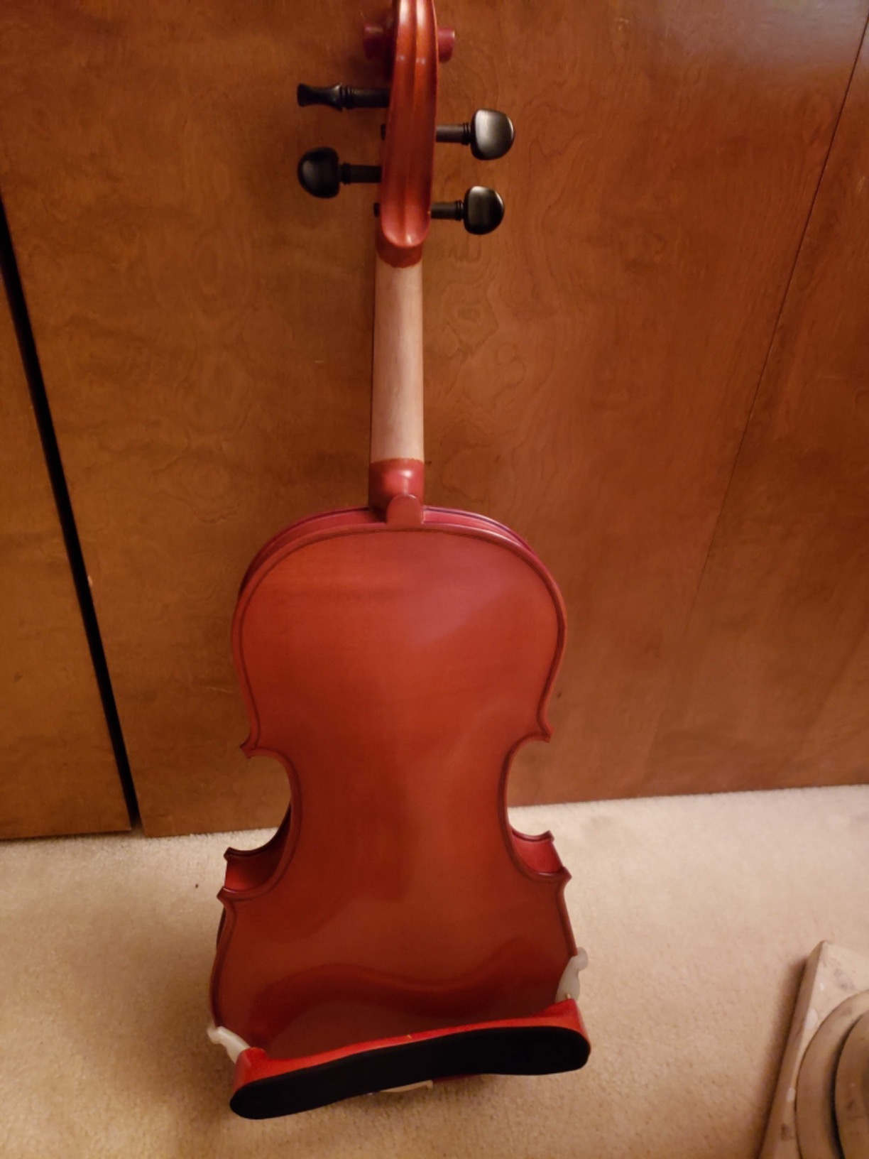 D Z Strad Viola Model 101 with Strings, Case, Bow, Shoulder Rest, and Rosin (15