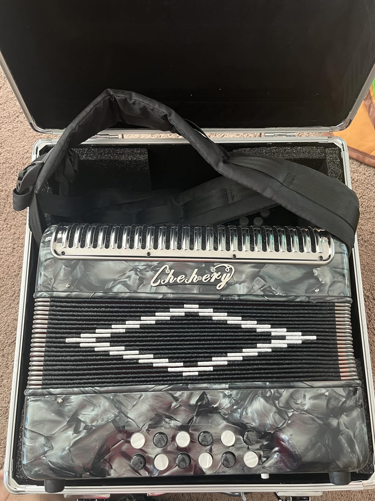 Accordion 31Key 12Bass Diatonic G/C/F w Case Strap Gloves Cloth (Sliver) | Push-Pull Tuned;Ergonomic Keys;Airtight Bellows;Tuned Reeds customer photo 1