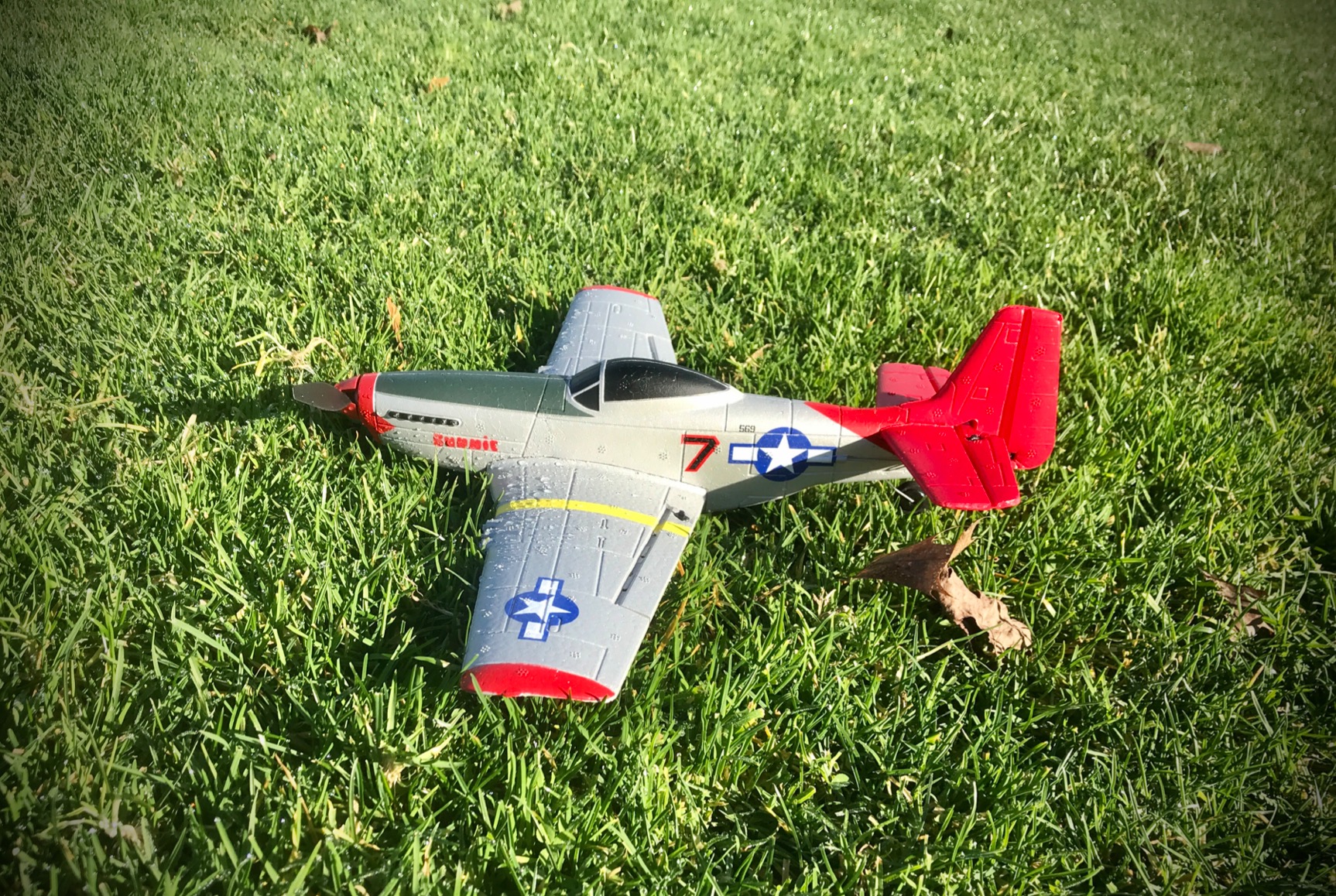 VolantexRC RC Plane, 4CH Remote Control Airplane for Beginners & Adults, P51D Mustang Fighter RTF, 6-Axis Gyro, 3 Modes, Easy to Fly, 2.4GHz Radio Controlled Aircraft, Blue customer photo 2