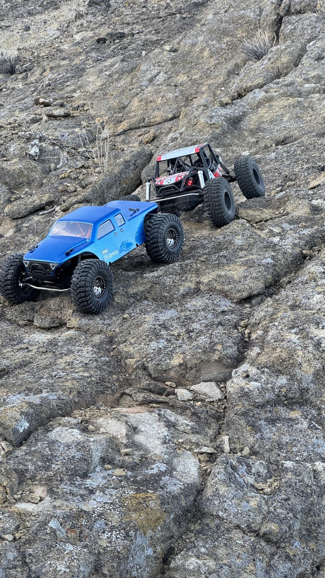 Axial SCX10 PRO 1/10th 4WD Kit, AXI03028 customer photo 2