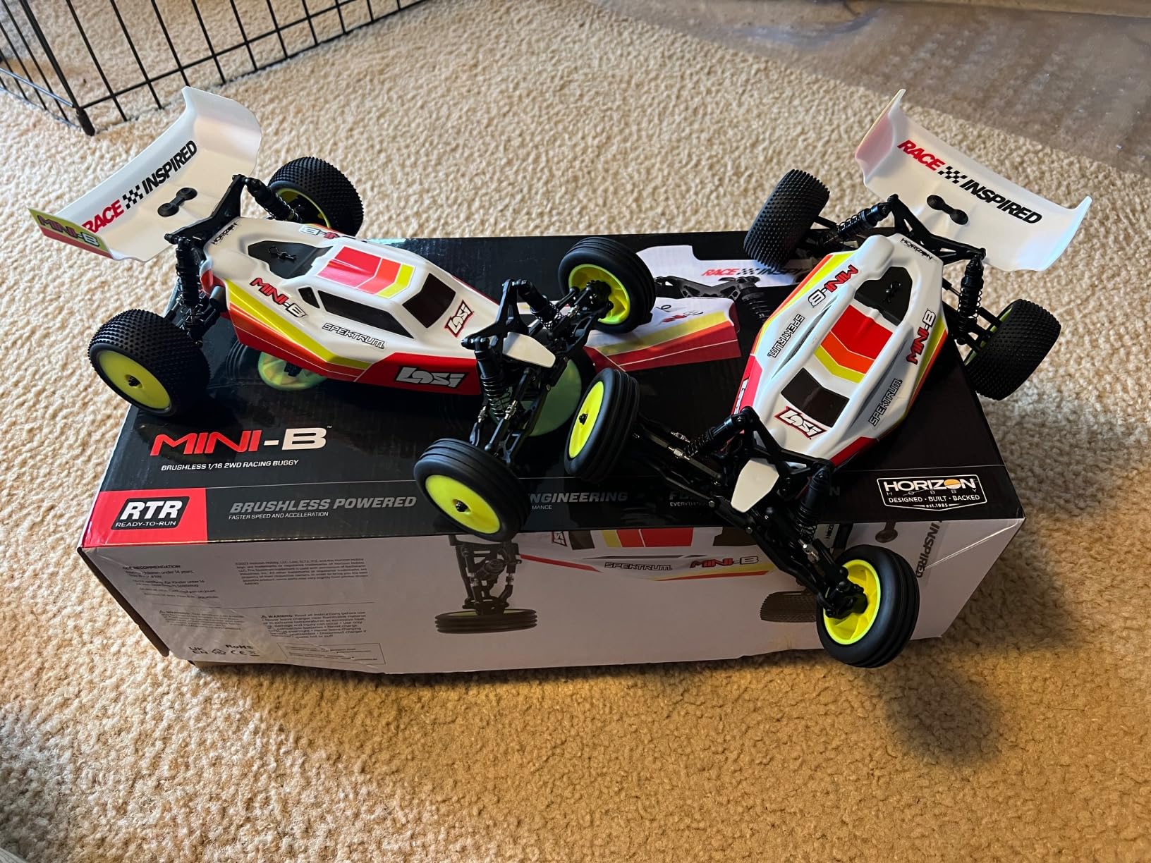 Losi 1/16 Mini-B 2 Wheel Drive Buggy Brushless RTR Blue LOS01024T2 customer photo 1