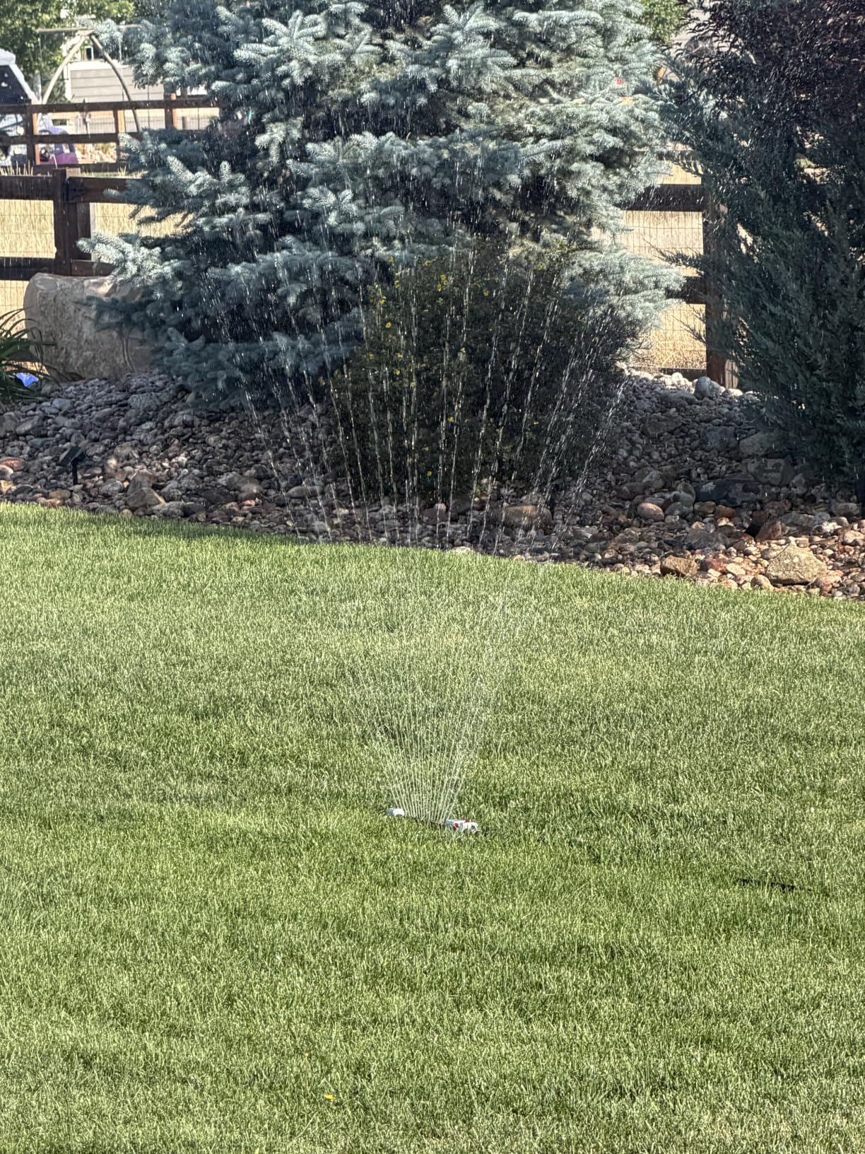 Eden 94110 Heavy-Duty Metal Oscillating Sprinkler | Covers Up to 3,315 sq. ft., 18 Precision Nozzles, Adjustable Range, Turbo Drive Motor, Quick Connect Bundle customer photo 1