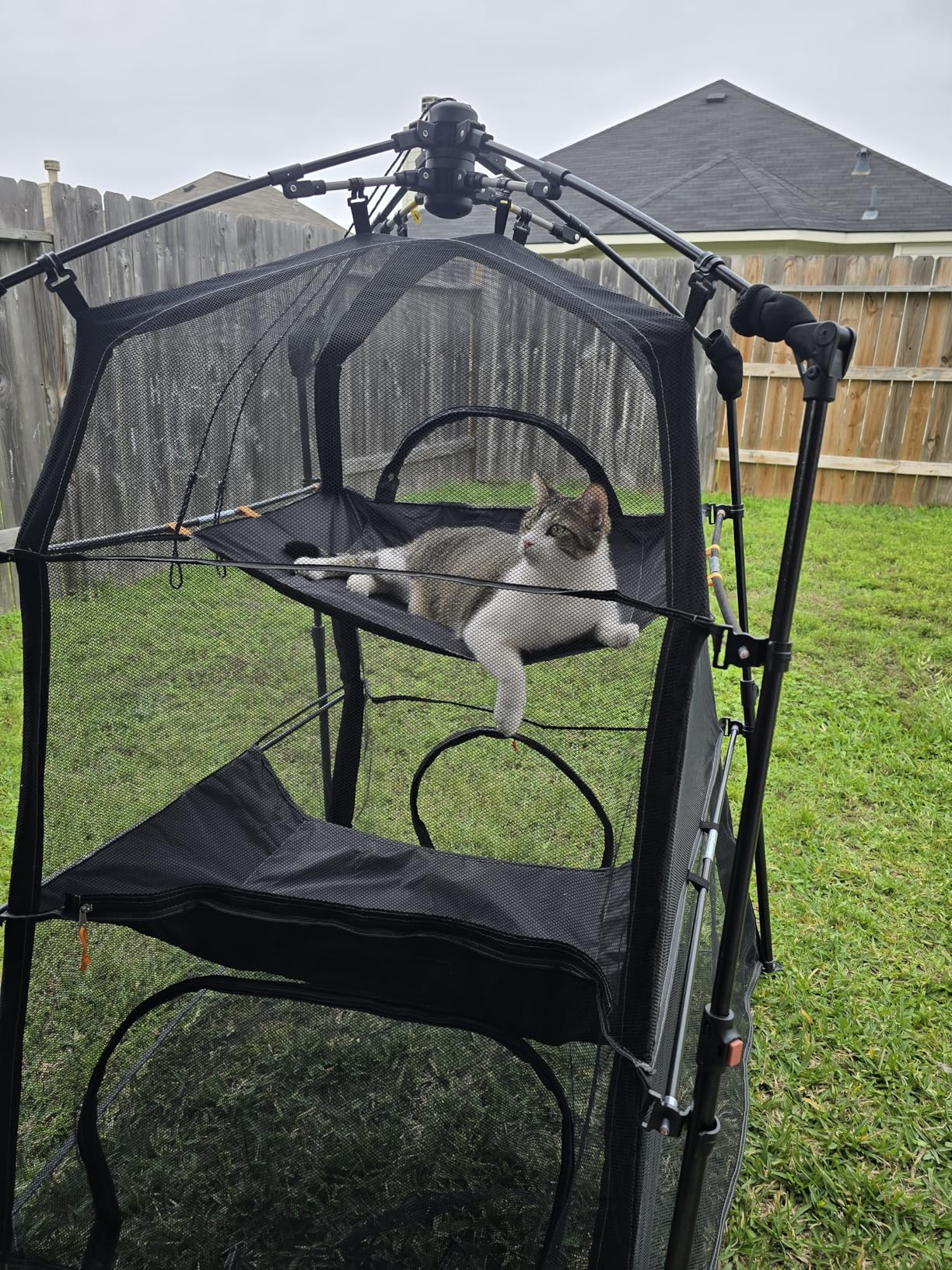 Extra Large Catio Outdoor Cat Enclosure, Rywell 3-Tier Spacious Outdoor Cat Tent, Weatherproof & Sunproof with 5 Windows, Foldable Cat Enclosure for Patio, Camping, Indoor (Includes Carry Bag) customer photo 2