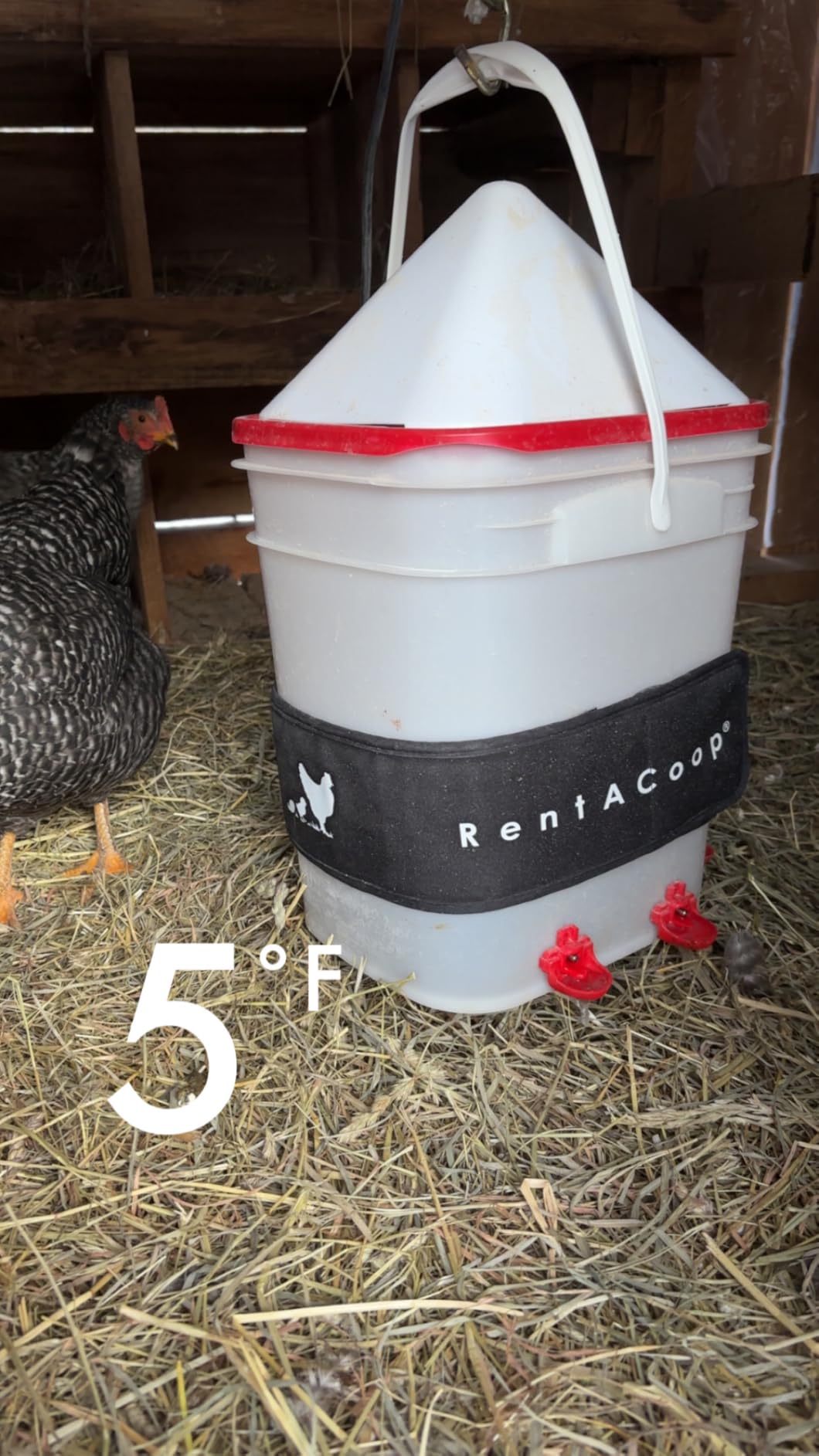 RentACoop Heated Chicken Waterer Belt for Winter, Thermo Bucket Heater Strap LG with Insulated Wrap for 2-5 Gal, 40W Energy Efficient, Safe to -10F customer photo 1