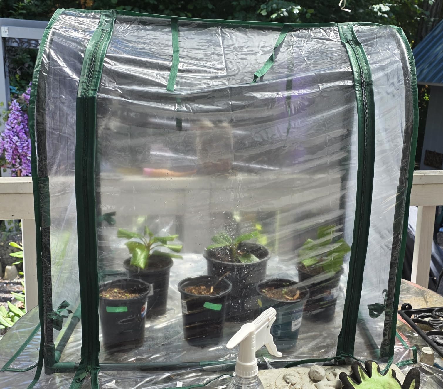 Bstrip Indoor Greenhouse with Grow Light, Mini EVA Tent with PET Base Mat, Ventilation Windows & Zippered Door, 18W Tabletop Greenhouse Light for Seed Starting with Timer, 23.8