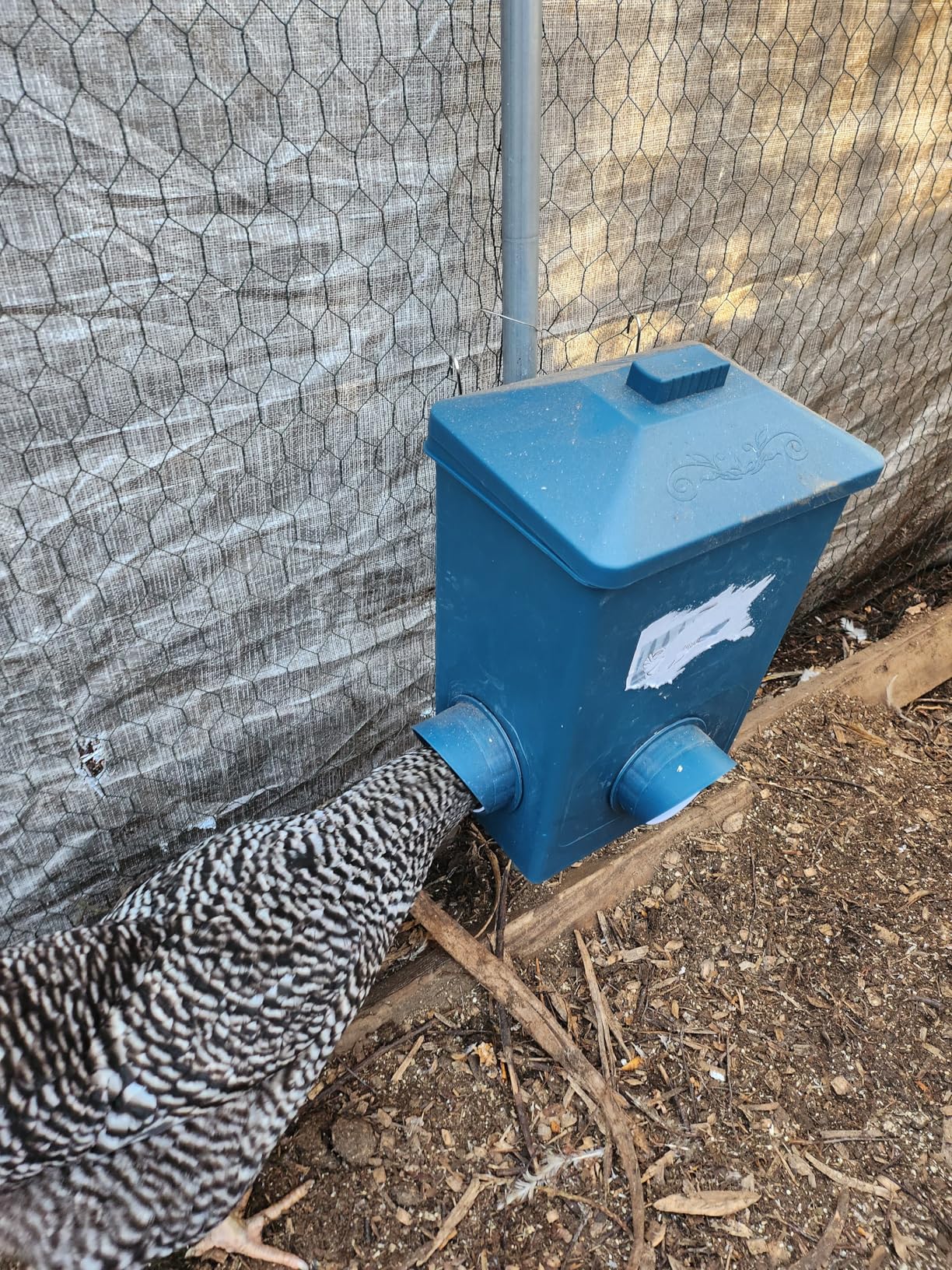Chicken Waterer with Float Controlled Automatic Set, Chicken Coop Accessories - No Manual Water refilling Needed, 4 Gallon (Compatible with 5/8-inch and 3/4-inch Water Pipes, 60-inch Water Supply Pipe customer photo 2