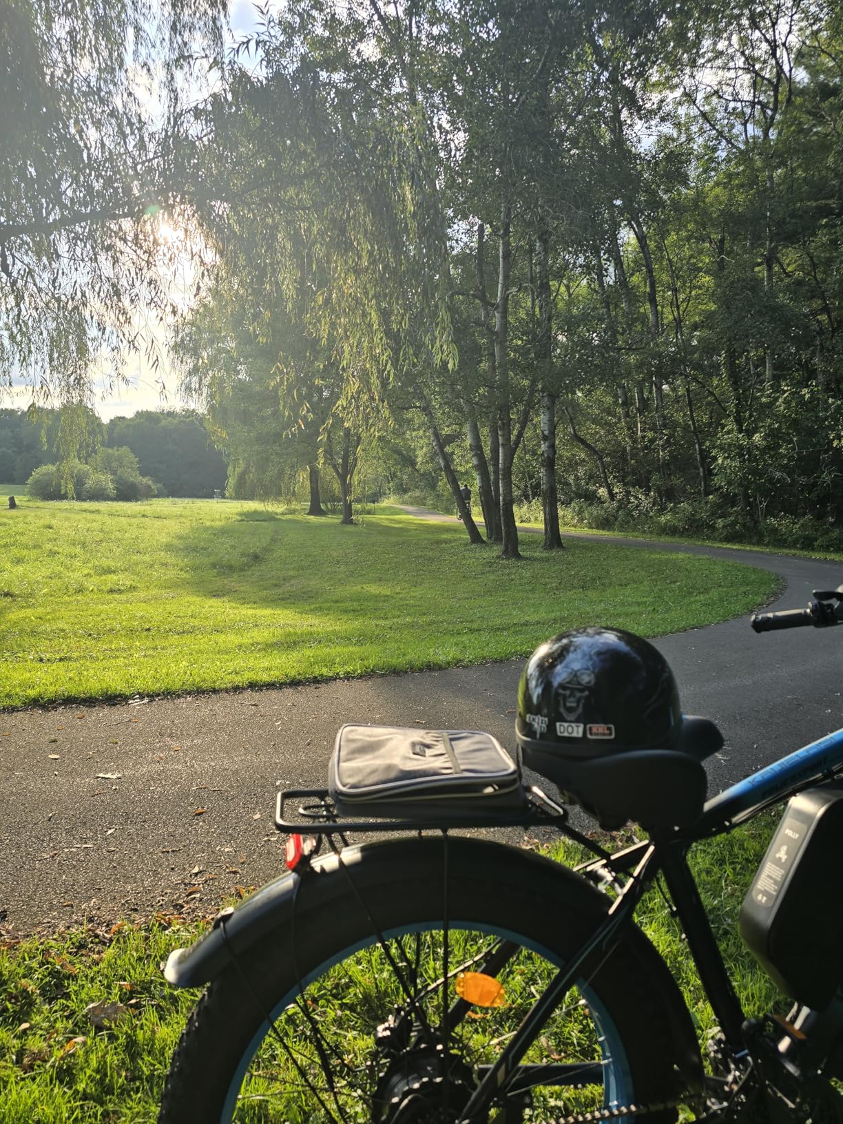 AWD Electric Bike for Adults, Peak 4000W Power 26