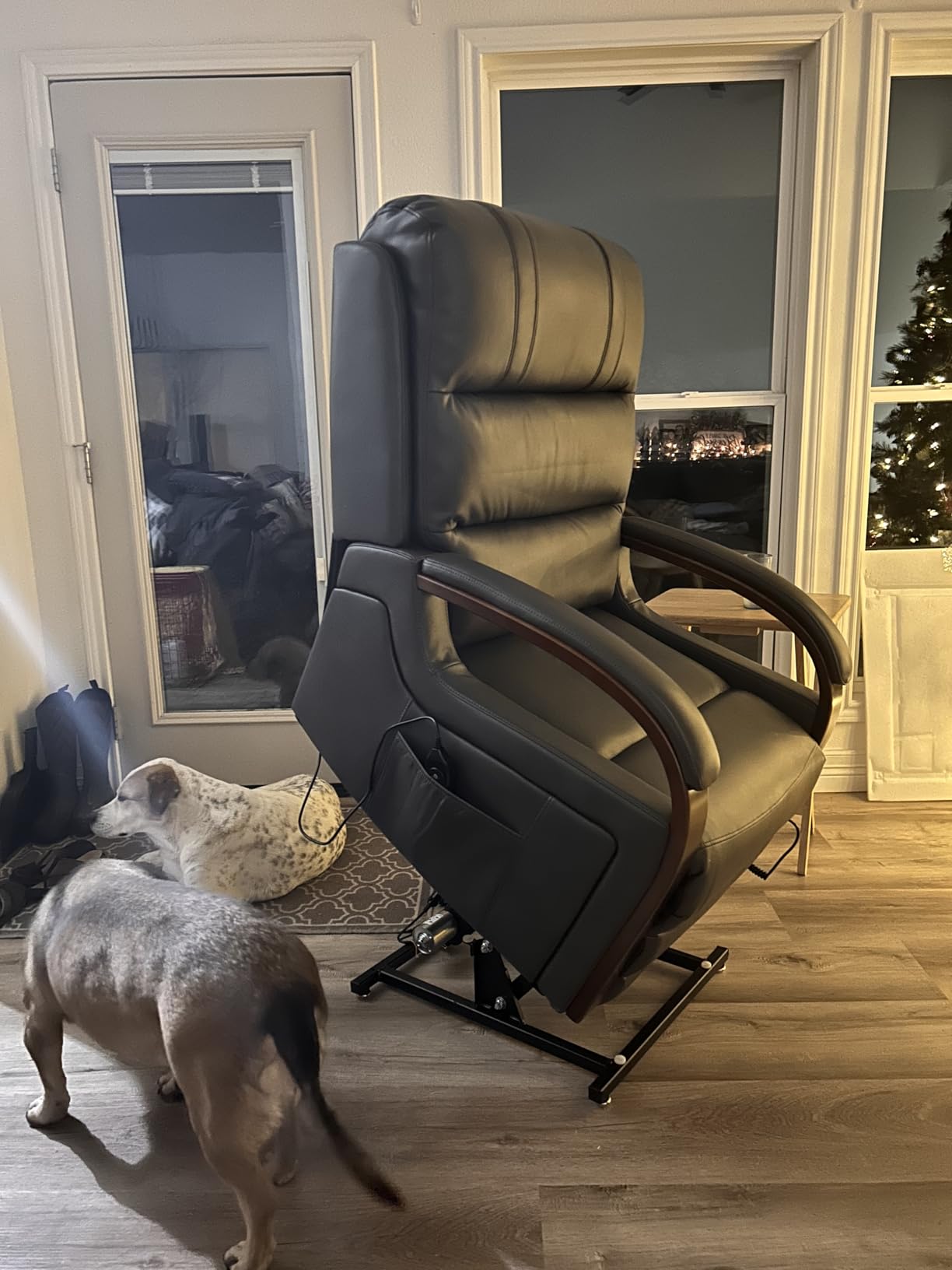 Trustyue Power Lift Recliner Chair, 180° Lay Flat Recliner, Lift Chair with Massage and Heat, Standing Assistance, Infinite Position Reclining, Living Room Chair for Elderly People (Faux Leather Beige) customer photo 1