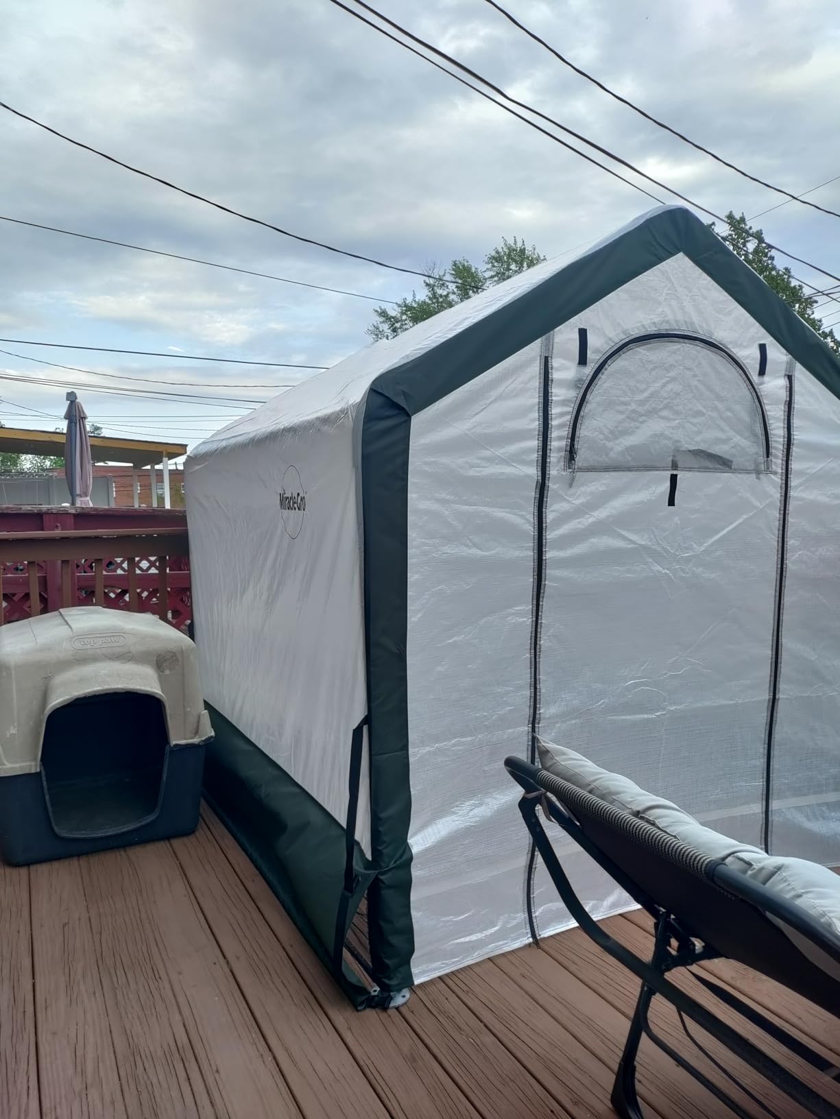 Miracle-GRO 6' x 6' x 6' Outdoor Mini Walk-in Greenhouse Plant Tent, All-Season Small Walk-in Plant Growth Accelerator with UV-Treated Fabric Cover and Zippered Panels, Clear customer photo 2