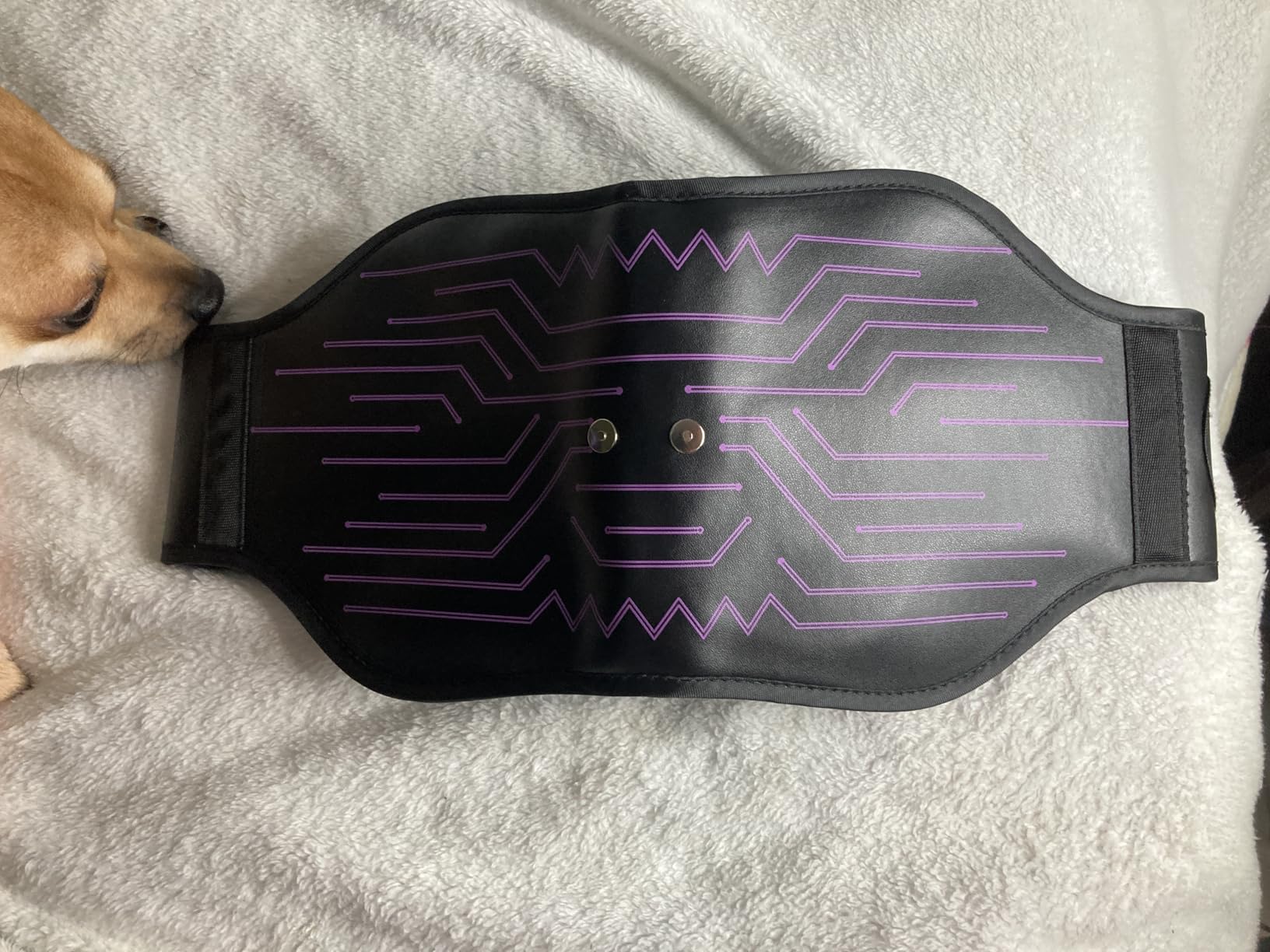 FDA Cleared - Abs Stimulator Muscle Toner, EMS Muscle Stimulator, Fitness Belt Ab Workout Equipment customer photo 1