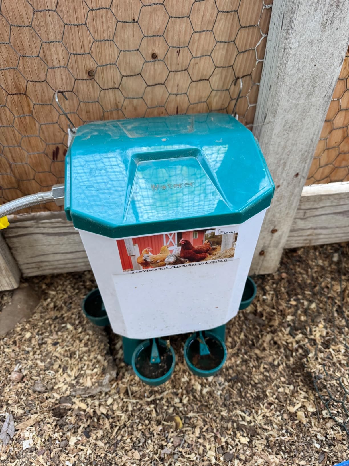 Lilyang Automatic Chicken Waterer| Float-Control Auto Waterer, Hanging/Standing Design, Connect to 3/4'' Faucet & Hose, Effortless Hydration Solution for Backyard Coop & Small Farm (Red) customer photo 1