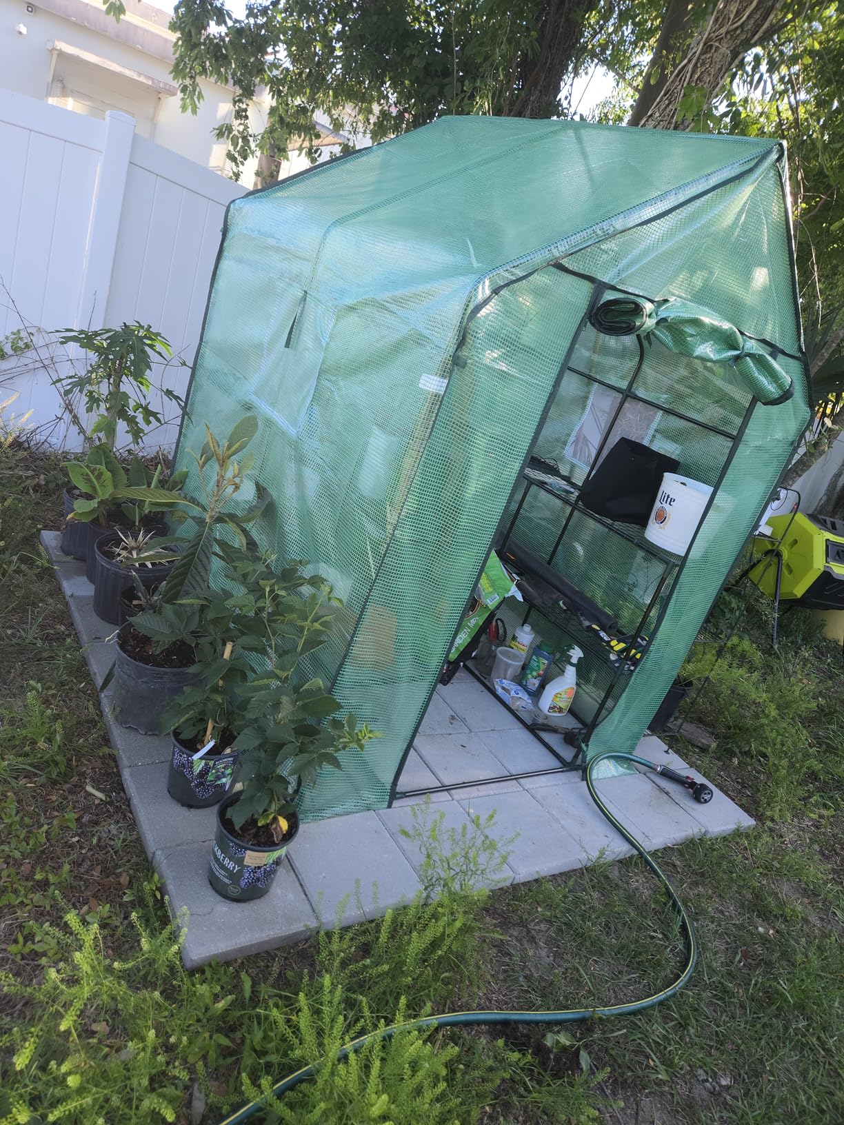 Ohuhu Plastic Greenhouse for Outdoors: Portable Walk in Plant Green House with Improved Transparent PVC Cover, 3 Tiers 12 Shelves Stands Small Greenhouses Backyard Green Houses for Outside Heavy Duty customer photo 2