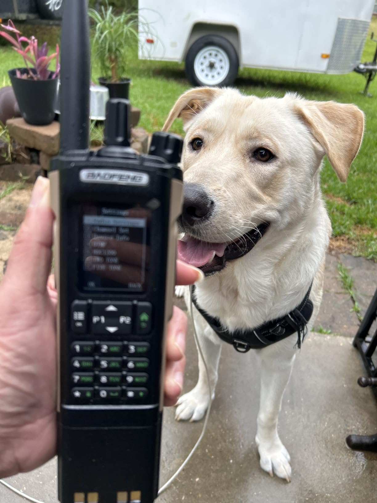 Baofeng Ham Radio DM32 DMR Radio Handheld Rechargeable Walkie Talkies Long Range DM32UV 5RM Two Way Radio NOAA Weather Radio with GPS, Copy Frequency 3800mAh Battery USB-C Charging with Radio Holster customer photo 1