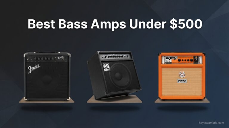 Best Bass Amps Under $500