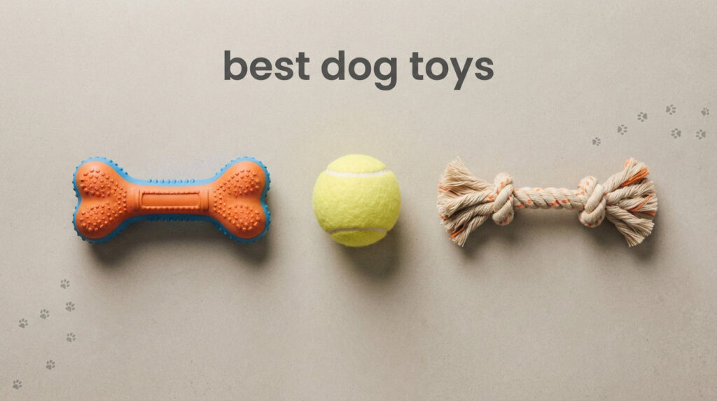best dog toys