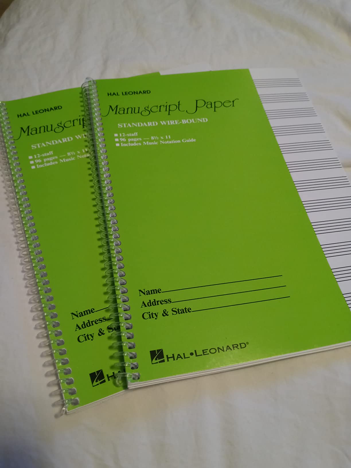 Manuscript Paper - Hal Leonard Standard Wirebound | 96-Page Music Writing Notebook with 12 Staves per Page | Spiral-Bound Staff Paper for Composers, Students, and Teachers | Includes Notation Guide customer photo 1