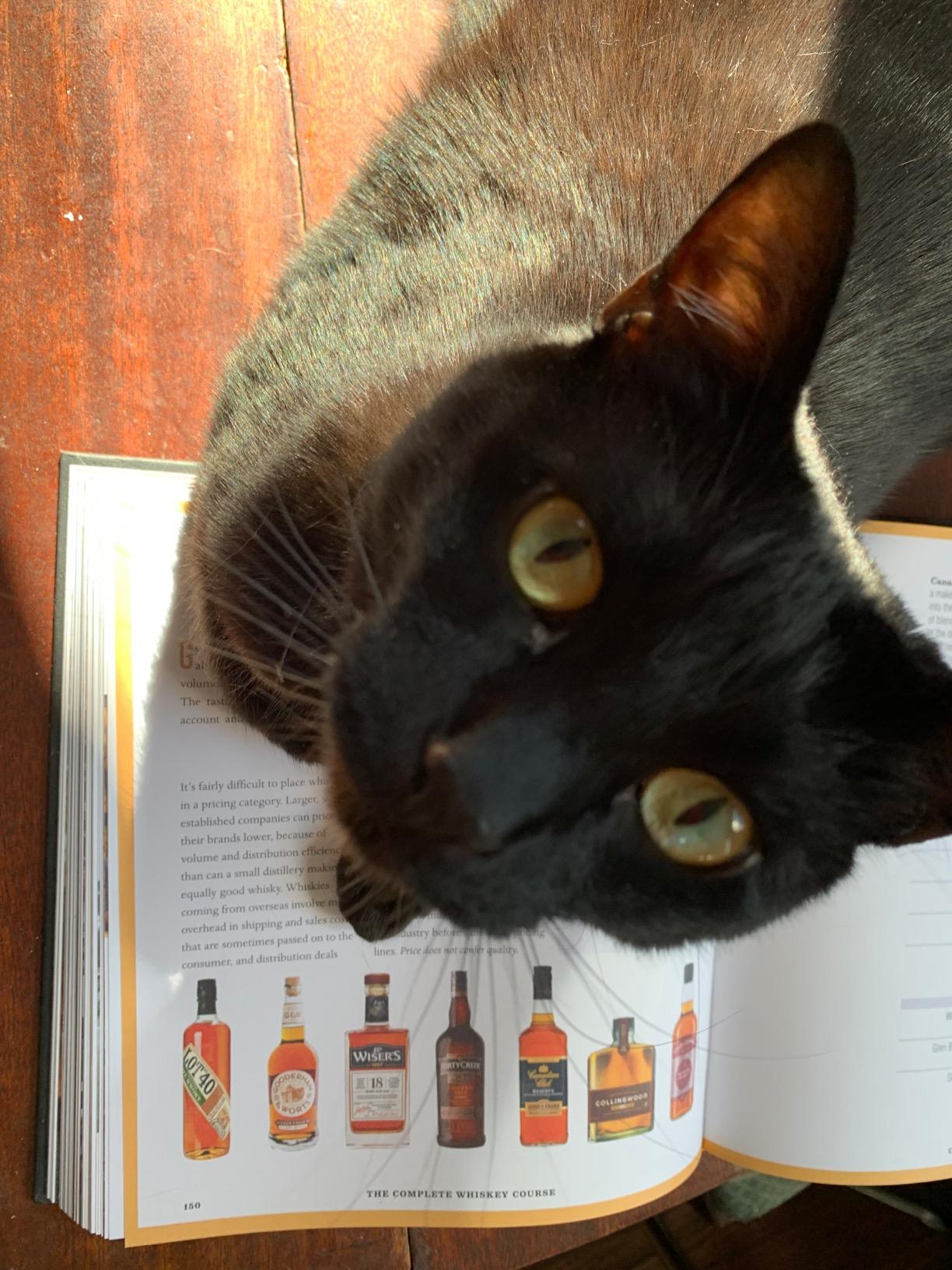 The Complete Whiskey Course: A Comprehensive Tasting School in Ten Classes - A Cocktail Book customer photo 1