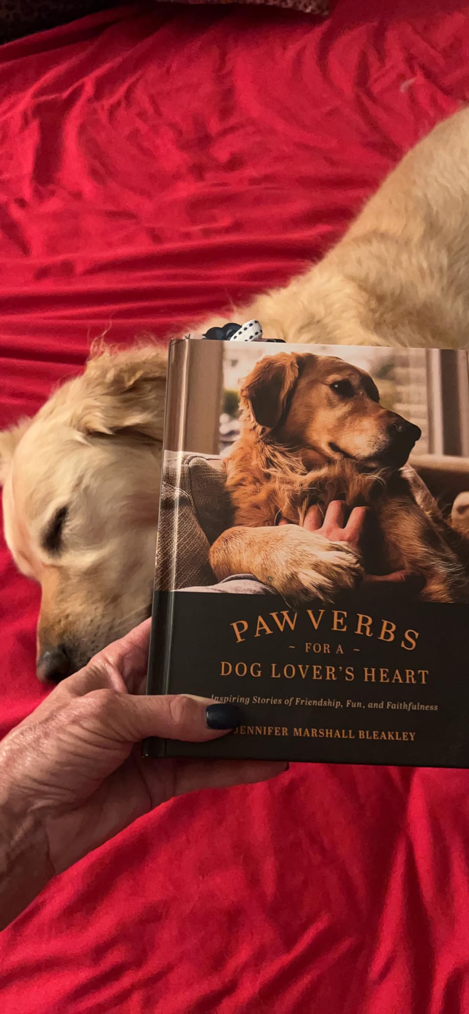 Pawverbs for a Dog Lover's Heart: Inspiring Stories of Friendship, Fun, and Faithfulness customer photo 1