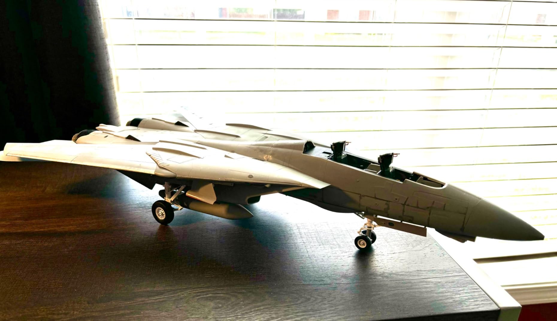 F-14A Tomcat Black Knights 1/32 Aircraft (TAM60313) customer photo 1
