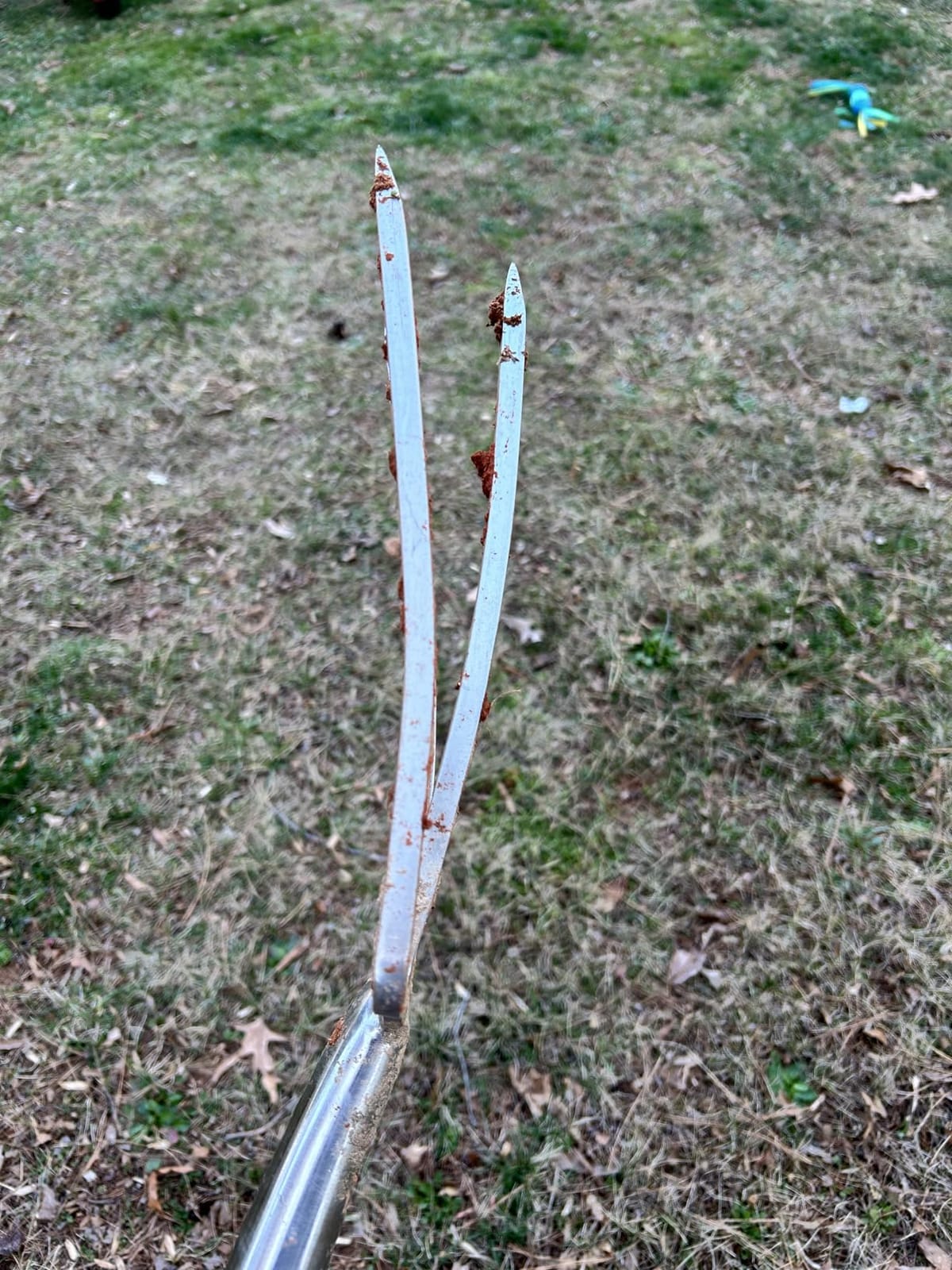 Spear & Jackson Traditional Stainless Steel Digging Fork, Heavy Duty Durable Stainless Steel Garden Tool, Ideal for Digging, Aerating, and Turning Soil customer photo 1