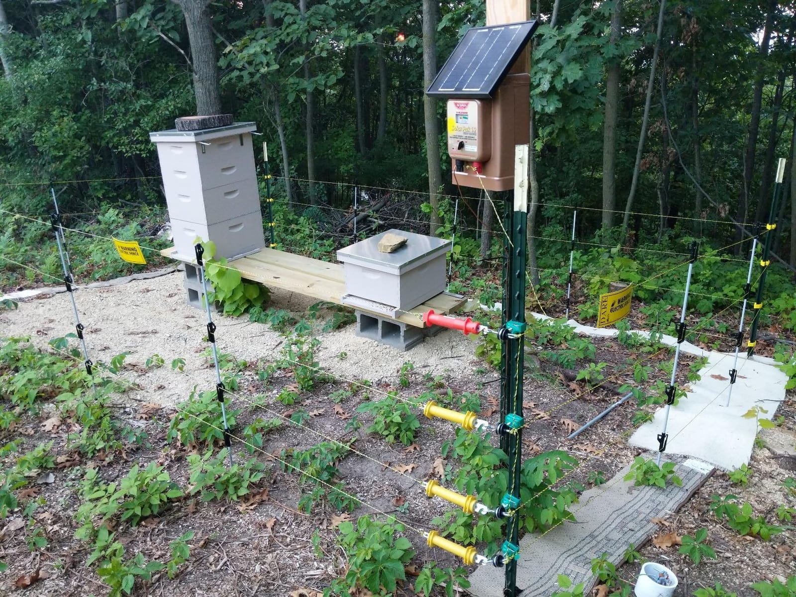 Parmak Magnum Solar-Pak 12 Low Impedance 12 Volt Battery Operated 30 Mile Range Electric Fence Charger MAG12-SP customer photo 2