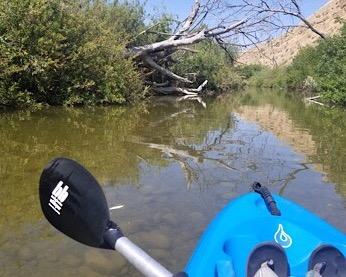 Bending Branches Whisper Kayak Paddle - 2-Piece Aluminum Shaft, Polypropylene Blades, Adjustable 0/60 Feathering, Black Comfort Grips, Dihedral Blade Design for Recreational Paddling customer photo 1