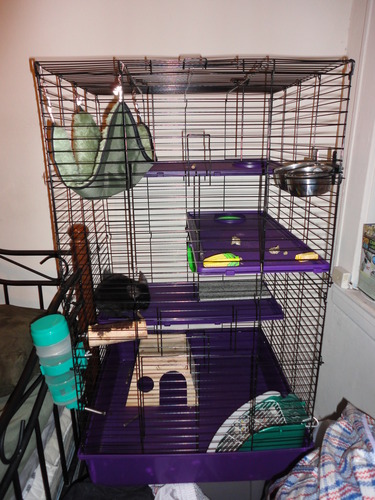 Kaytee My First Home Deluxe Multi-Level Habitat with Casters for Pet Ferrets 24