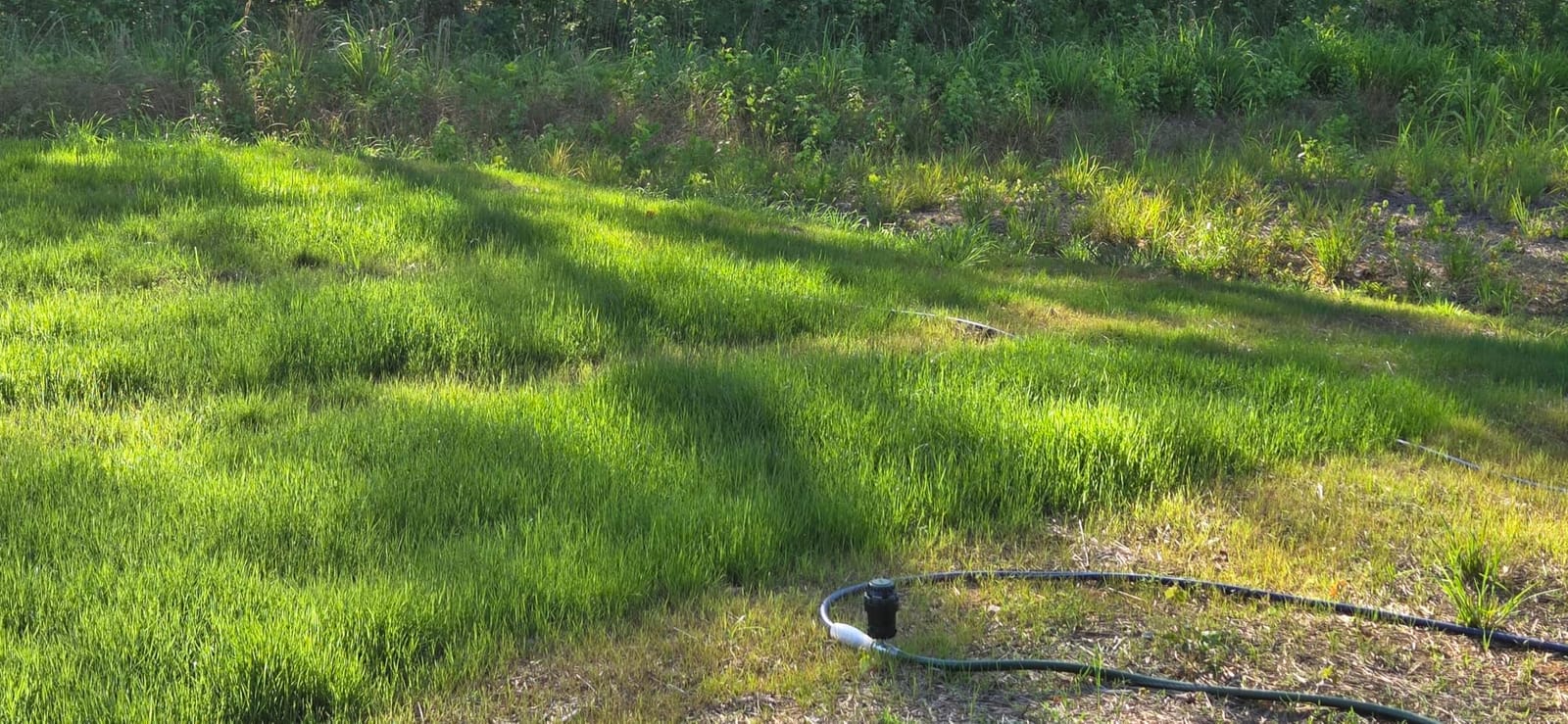 Orbit H2O-Six Gear-Drive Sprinkler on Metal T-Spike - Customizable Lawn Watering Coverage - Multi-Pattern Rotating Head with Adjustable Spray Range - Durable Outdoor Yard Irrigation Sprinkler - 58573 | Customizable Lawn Watering Coverage, Multi-Pattern Rotating Head with Adjustable Spray Range for Durable Yard Irrigation customer photo 1