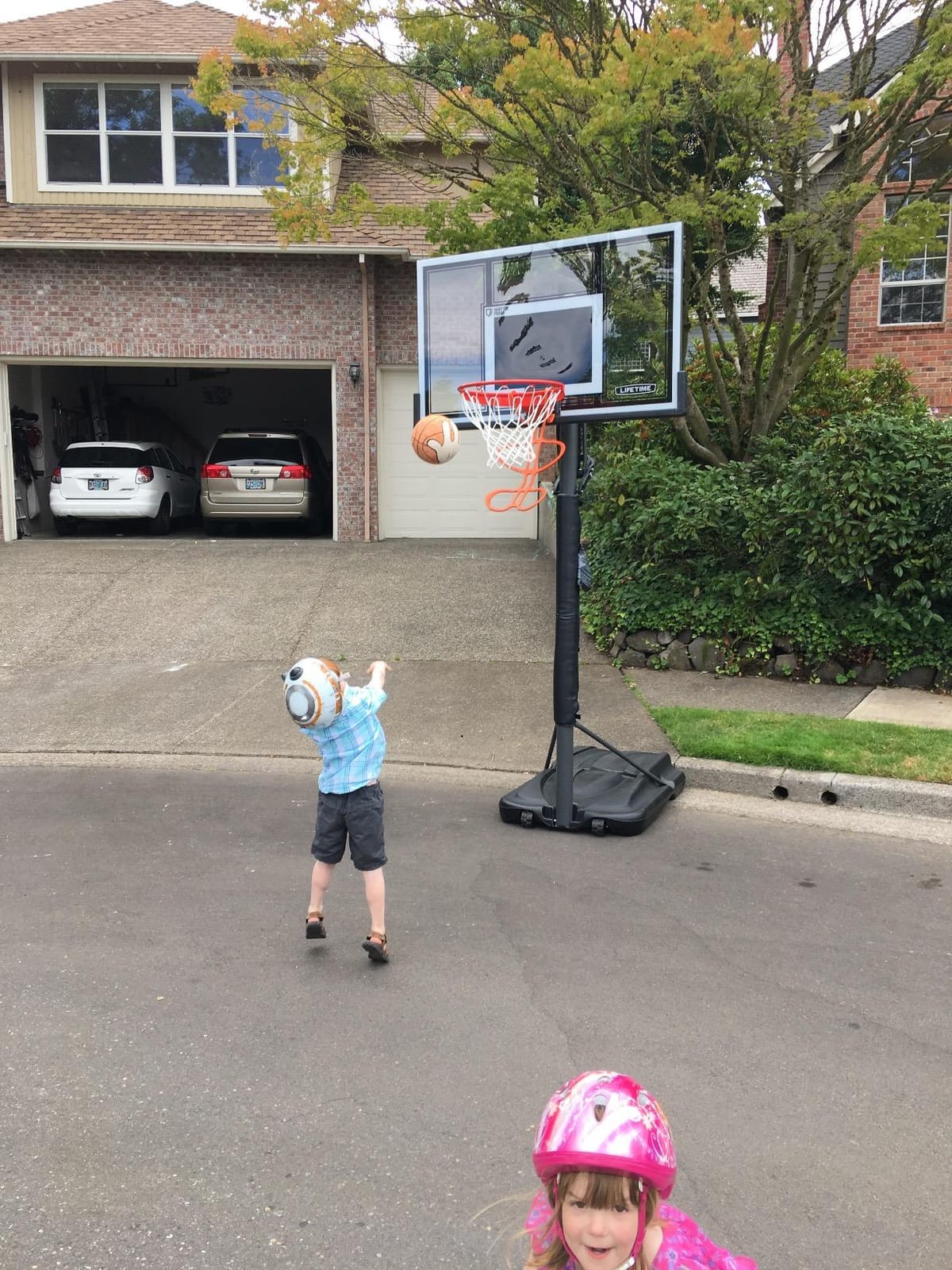 Lifetime Adjustable Basketball Hoop (54-Inch Polycarbonate) customer photo 1