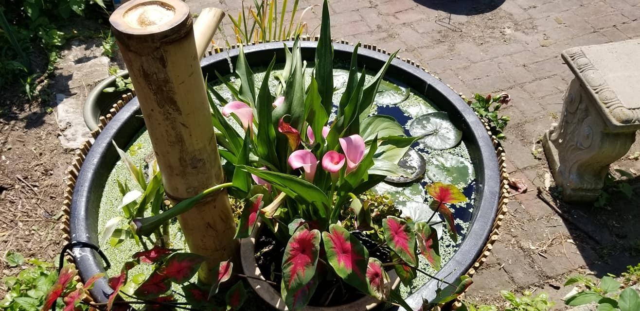 Tuff Stuff Products KMB100 Circular Tub, 64-Gallon customer photo 2