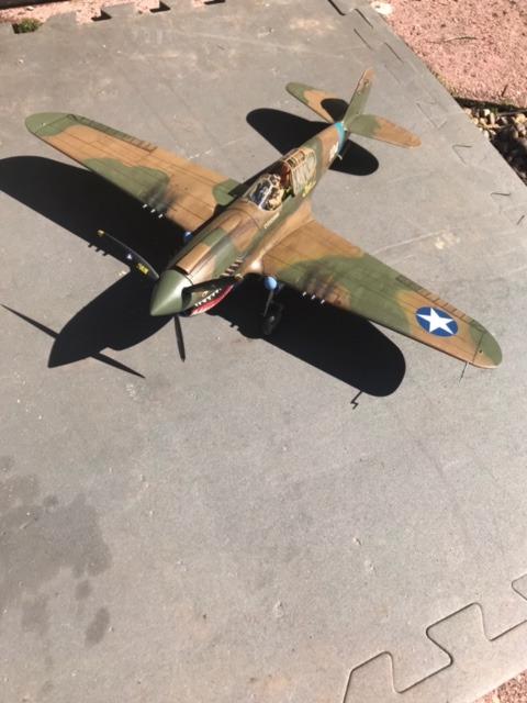 Hasegawa 1/32 P-40E Warhawk Texas Longhorn with Pilot Figure, Drop Tank and 500lb Bomb customer photo 1