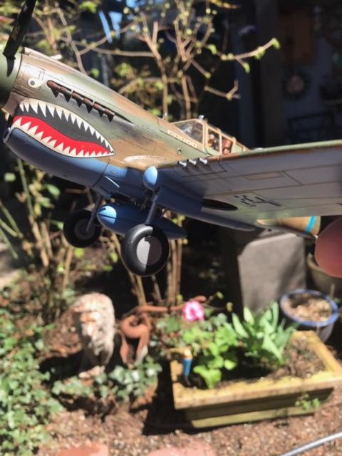 Hasegawa 1/32 P-40E Warhawk Texas Longhorn with Pilot Figure, Drop Tank and 500lb Bomb customer photo 2