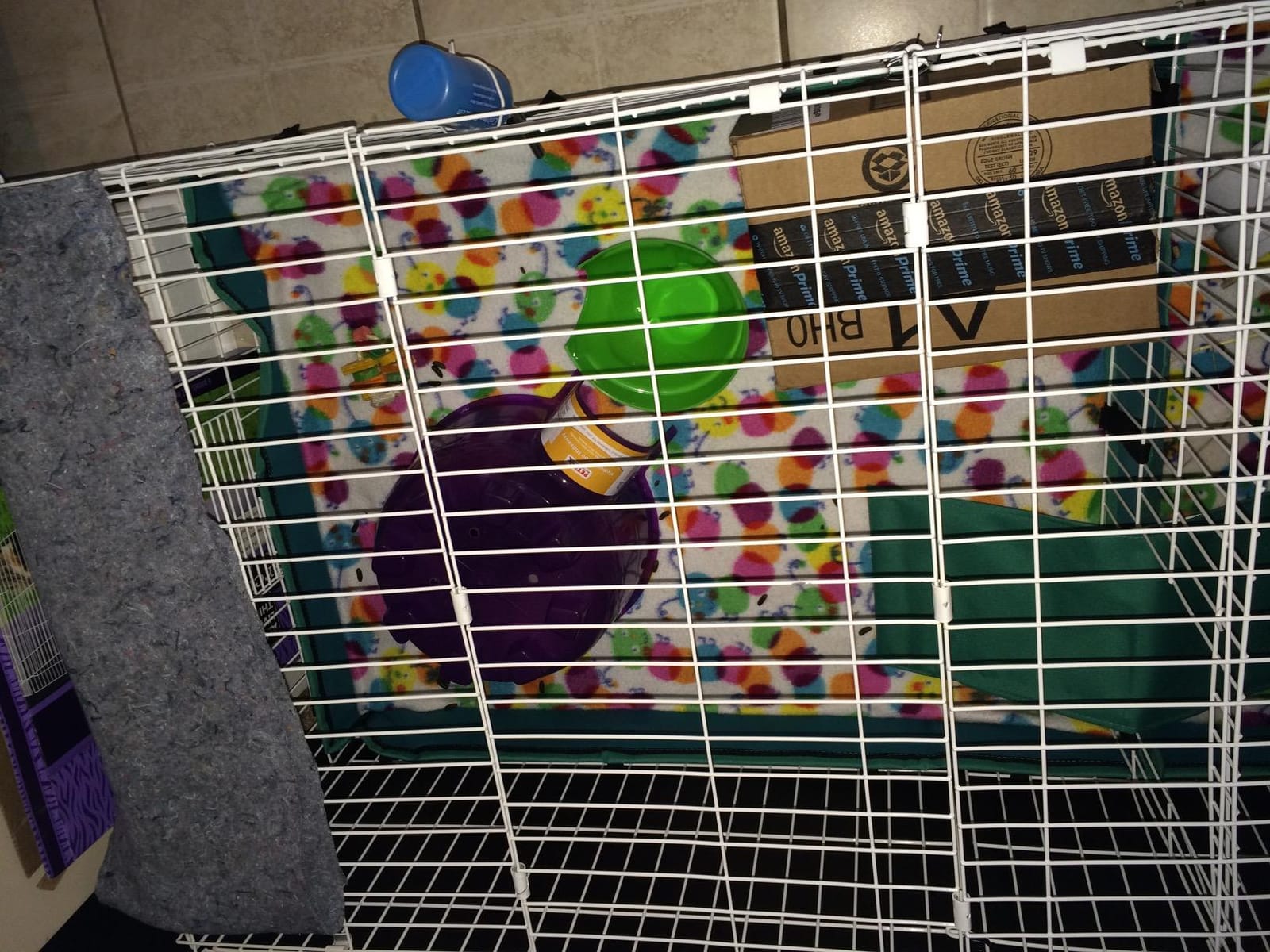 MidWest Homes for Pets Guinea Habitat Plus Cage, Includes Divider Panel and Hinged Top, Washable PVC Canvas Bottom, Expandable Small Animal Cage for Guinea Pigs, 171GHP customer photo 1