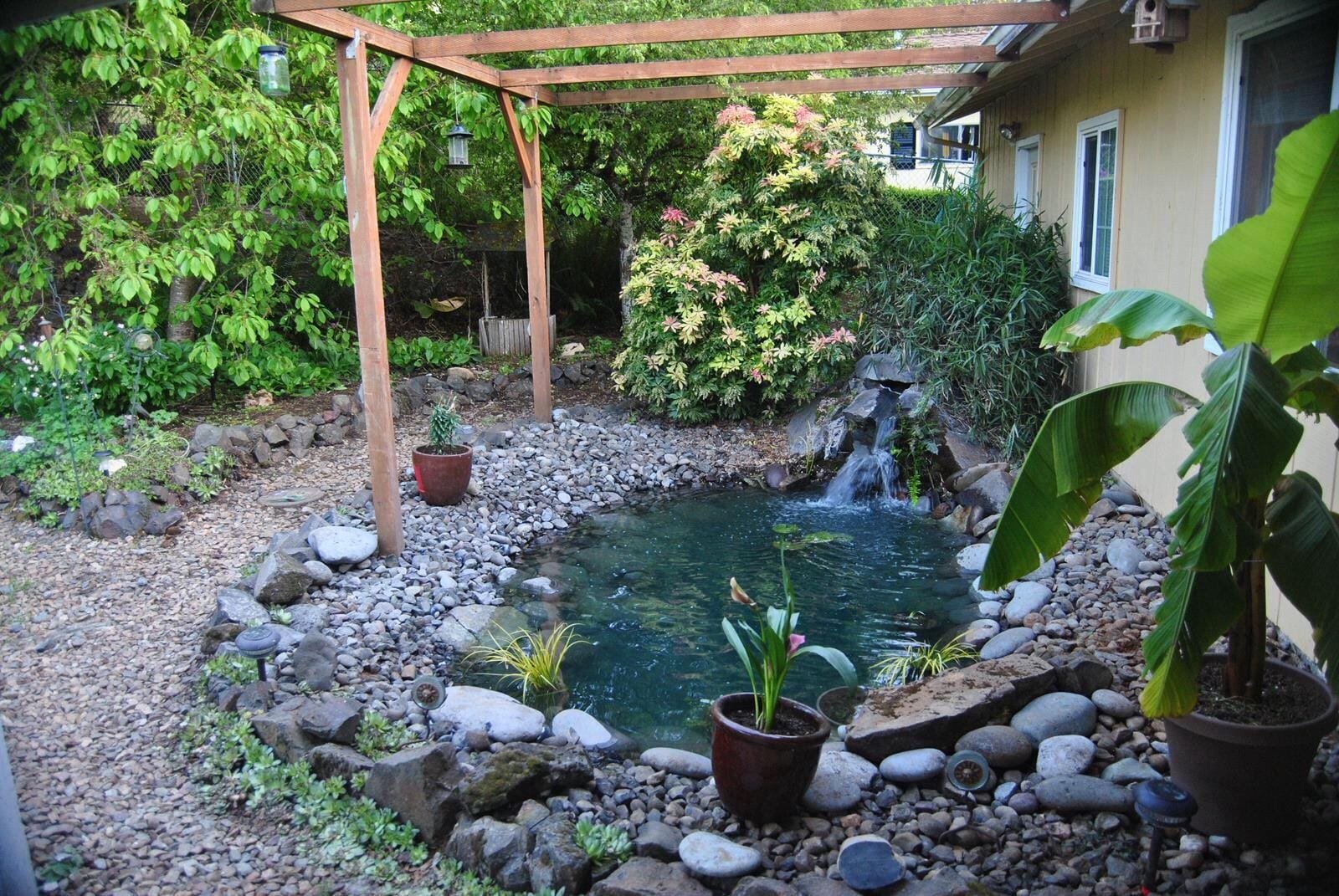 Tetra Pond Bio-Active Pressure Filter, for Ponds Up to 1500 Gallons | 2-Step Mechanical & Biological Filtration, For Clean & Healthy Ponds, Easy To Clean With Backflush Valve customer photo 1