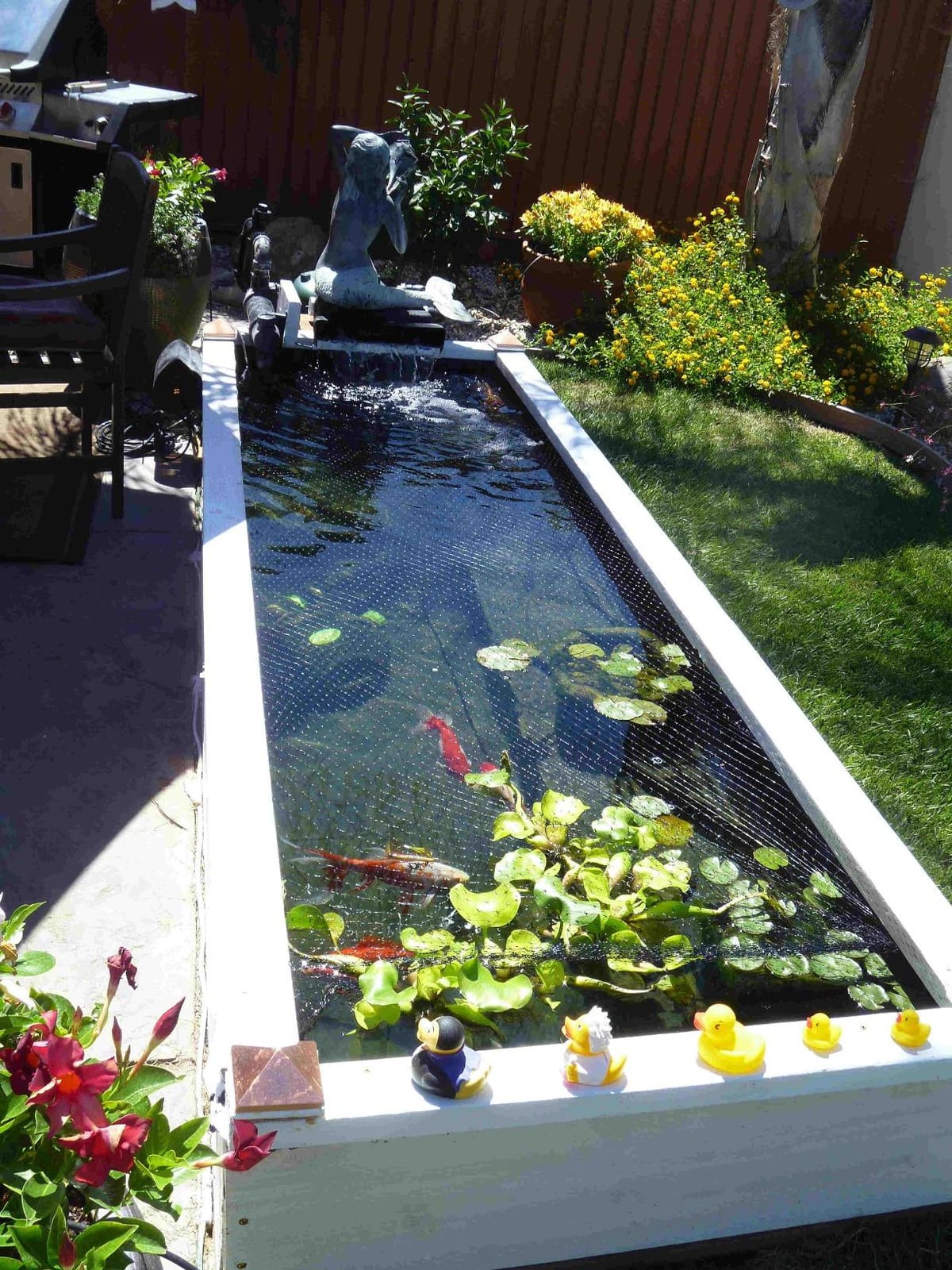 Tetra Pond Bio-Active Pressure Filter, for Ponds Up to 1500 Gallons | 2-Step Mechanical & Biological Filtration, For Clean & Healthy Ponds, Easy To Clean With Backflush Valve customer photo 2