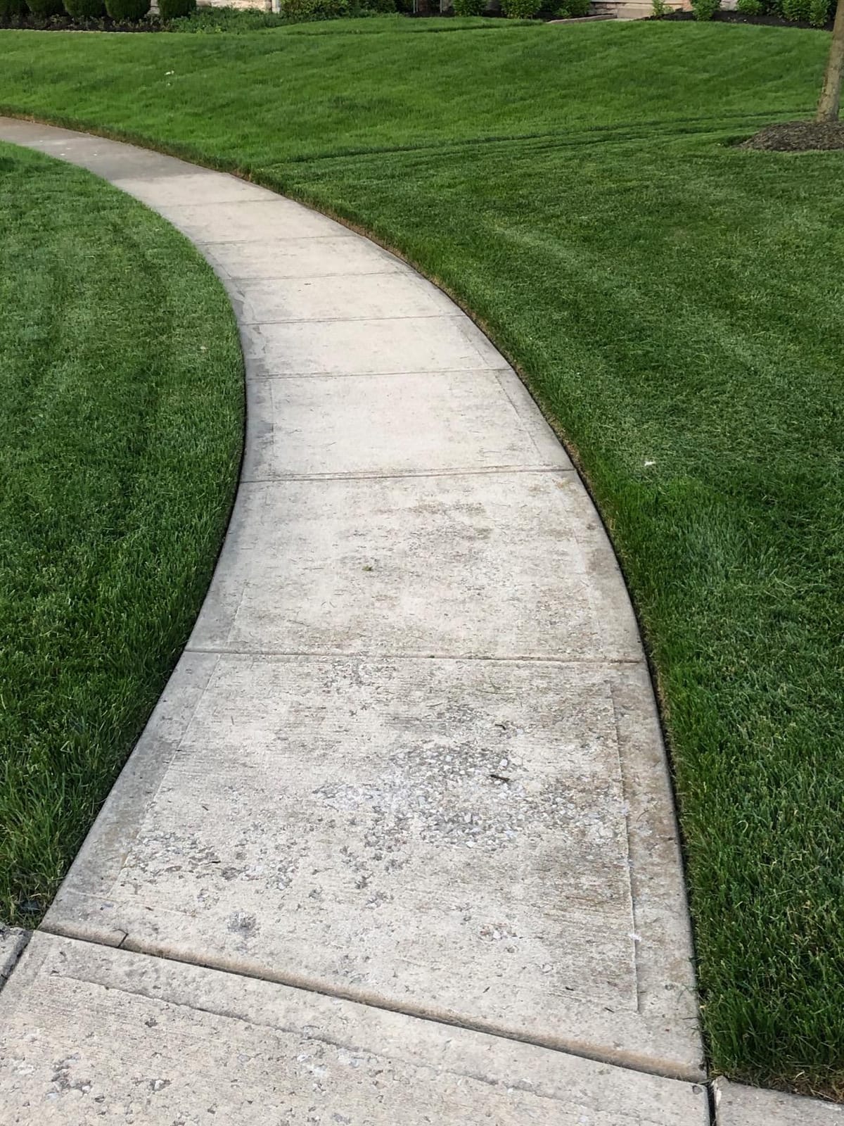 McLane 9 Inch Gas Powered Walk Behind Lawn Edger with 4 Rubber Wheels, 5.50 Gross Torque Engine customer photo 2