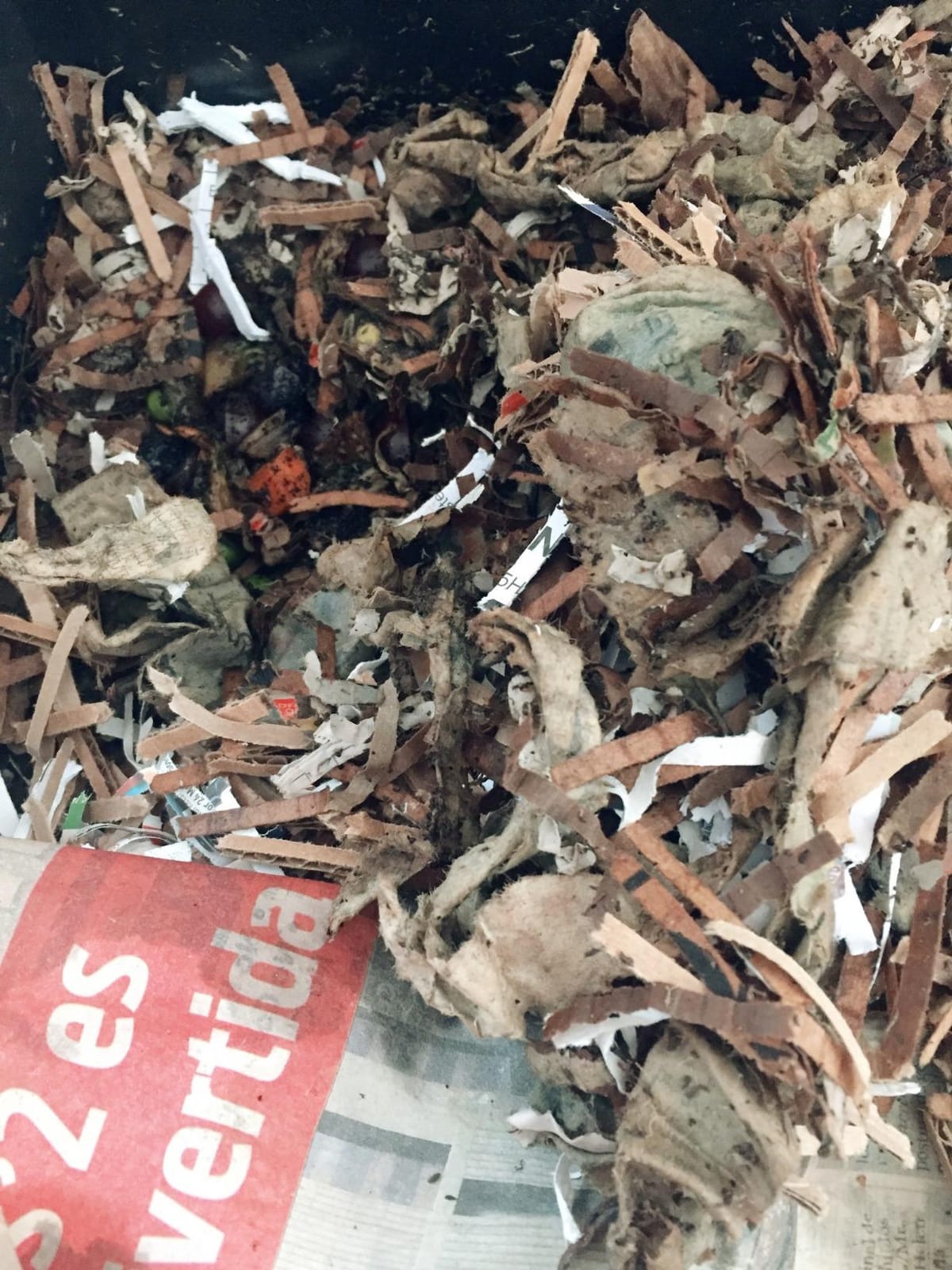 Worm Factory 360 Black US Made Composting System for Recycling Food Waste at Home - 4 Trays for Efficient Vermicomposting customer photo 2