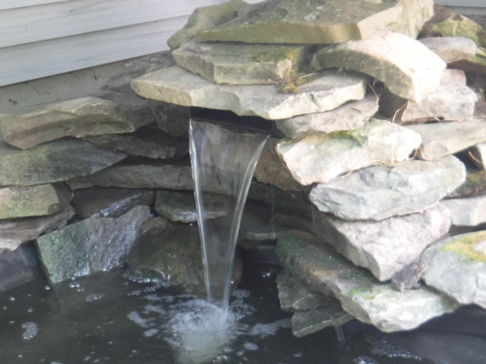 Tetra Water Garden Pond Pump, 1000 GPH customer photo 1