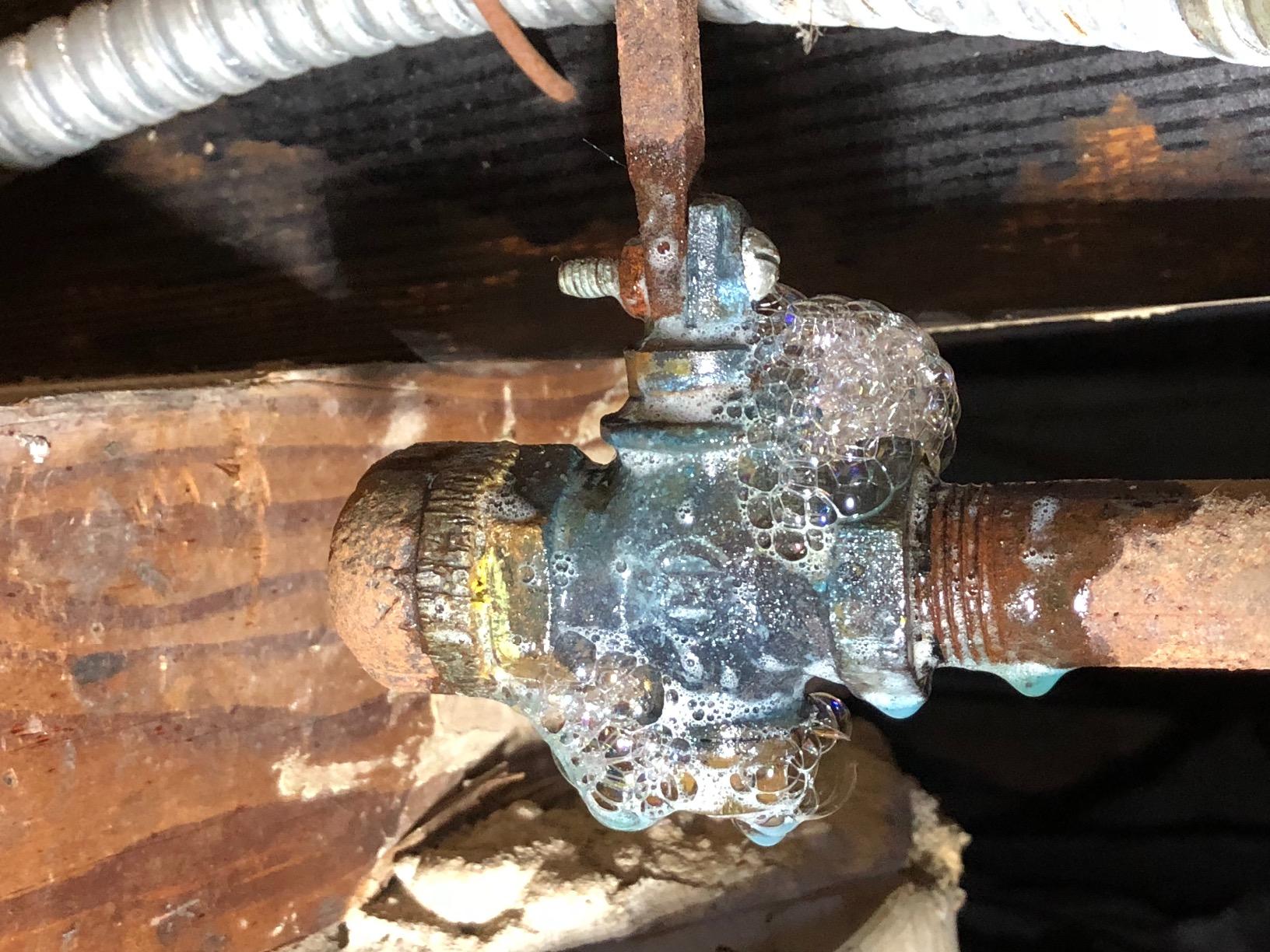 RectorSeal Better Bubble 65554 Advanced Leak Detector, Detects Refrigerant Gas, Air, and Oxygen, Fast Acting, Can Be Used at Varied Temperature/Pressure Conditions, Plumbing, 8 oz. customer photo 1