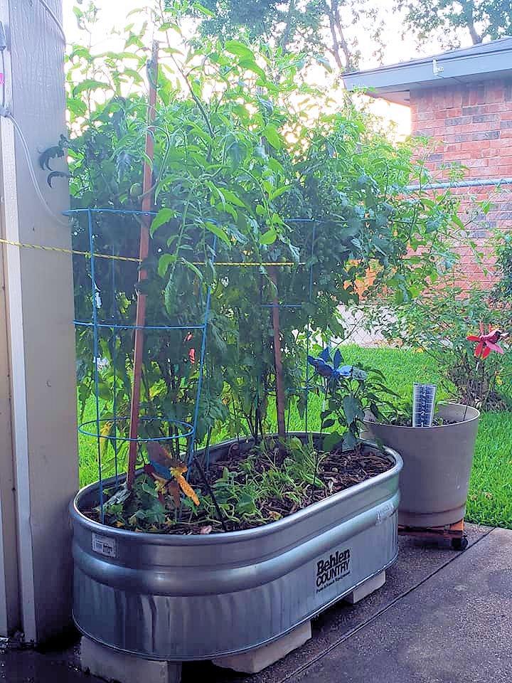 ST216 Shallow Galvanized Steel Round End Stock Tank, Approximately 70 Gallons customer photo 1