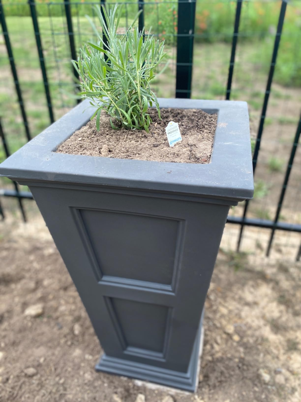 Mayne Fairfield 28in Self-Watering Tall Square Planter, Black | Self-watering, All season, Fade resistant, Reversible planting shelf, 15-year warranty customer photo 2