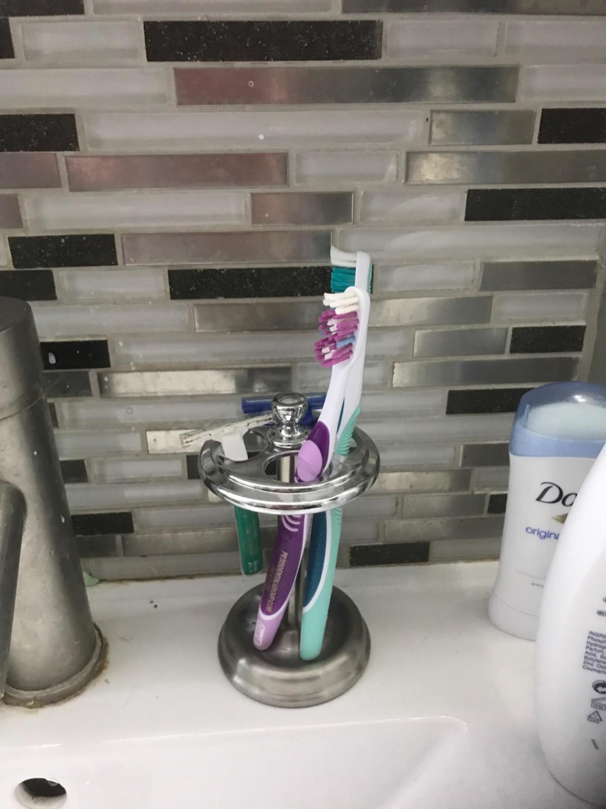 iDesign Steel Divided Toothbrush Holder Stand, 3.25