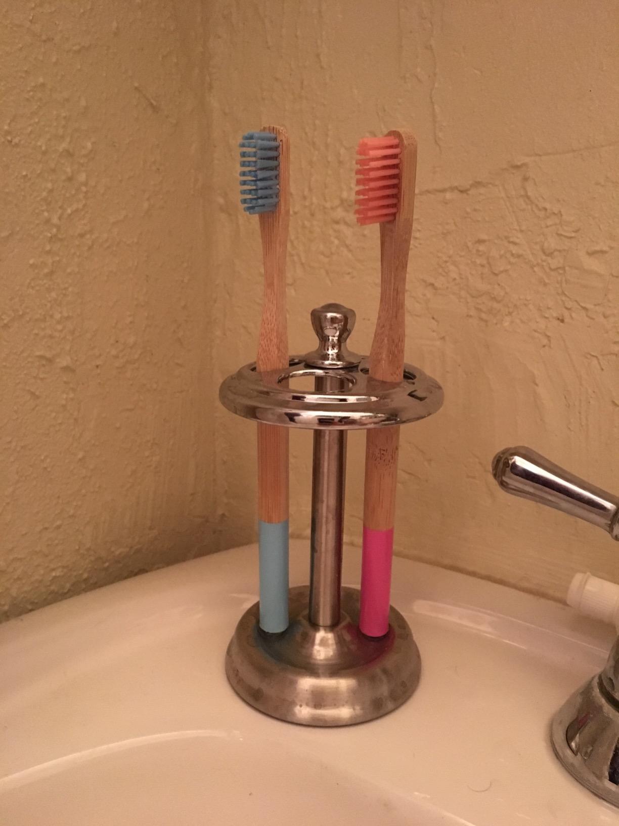 iDesign Steel Divided Toothbrush Holder Stand, 3.25