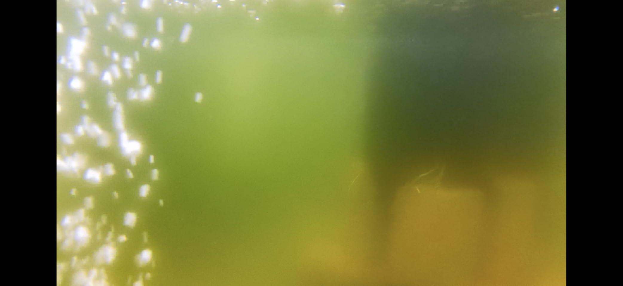TetraPond GreenFree UV Clarifier, For Clean And Clear Ponds customer photo 1
